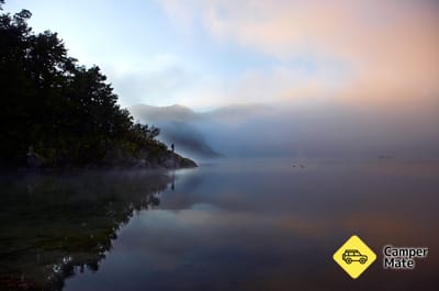 Urewera Rainforest Route