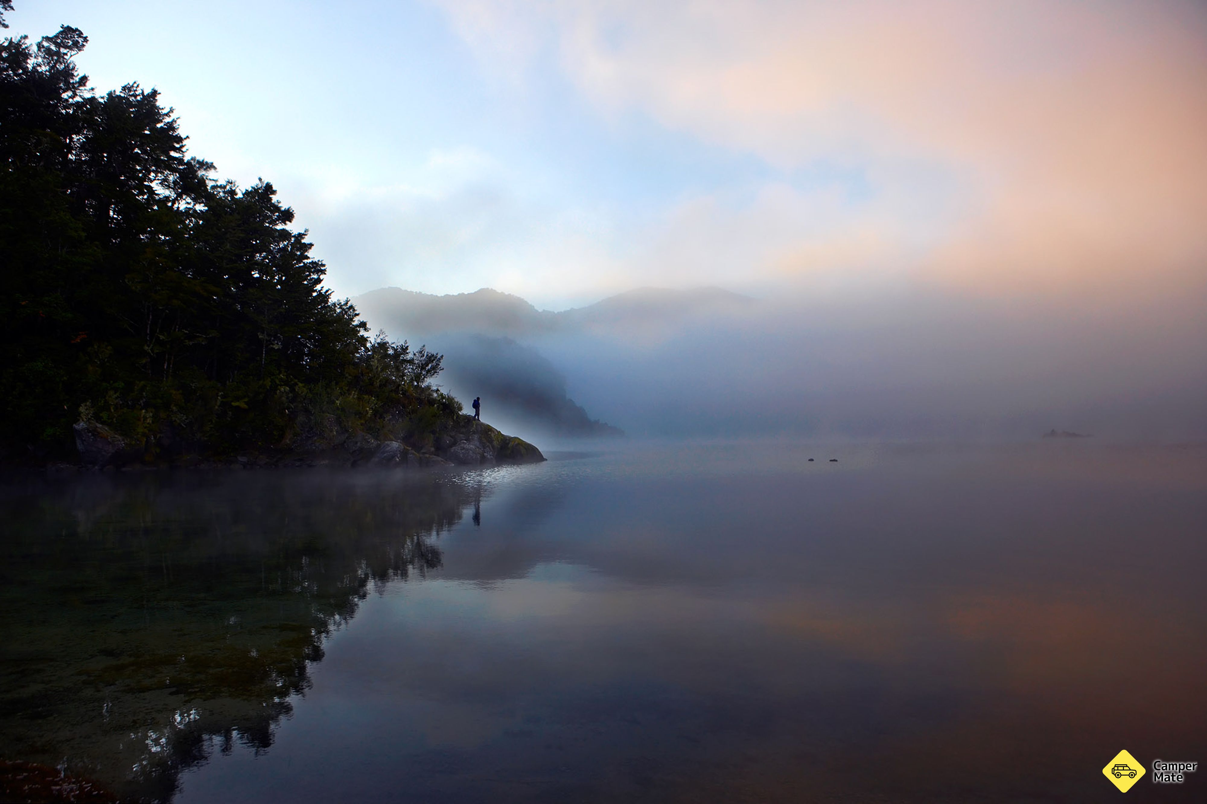 Urewera Rainforest Route