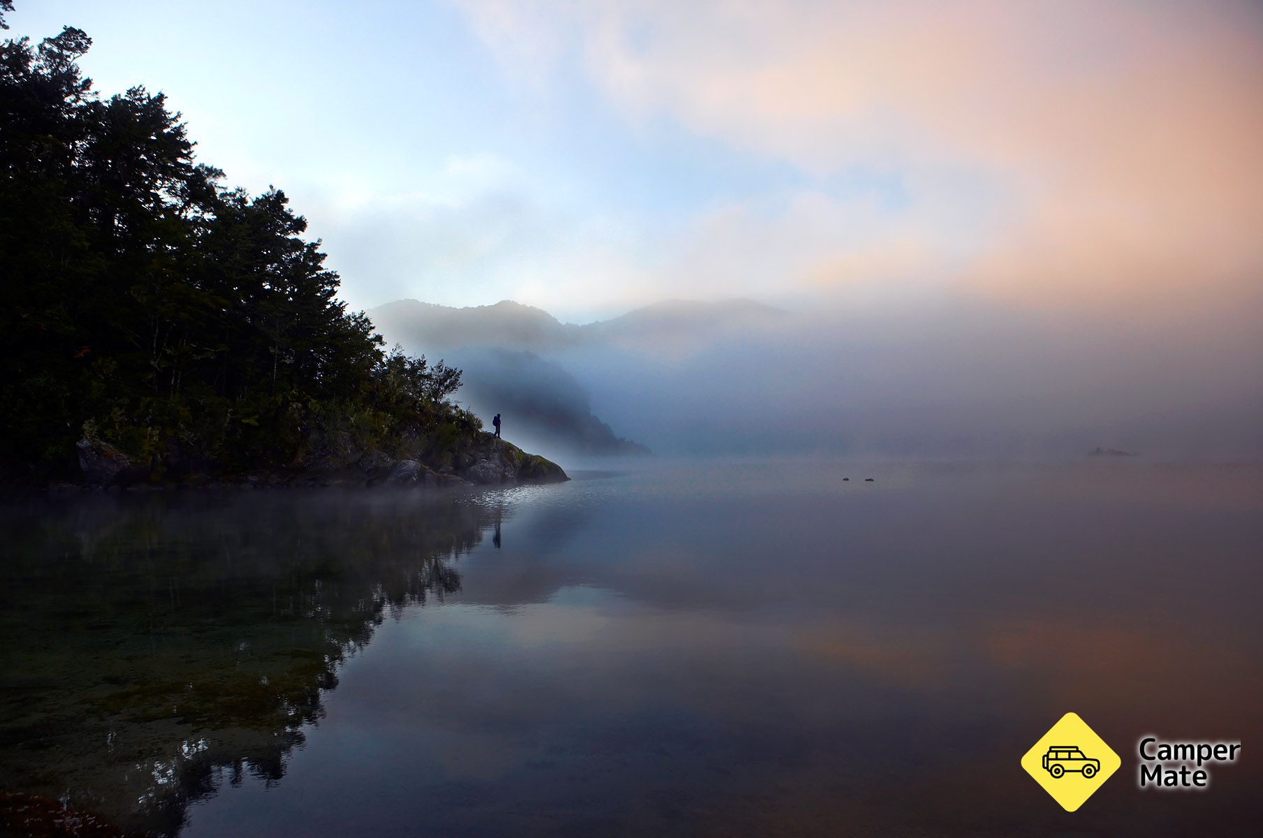 Urewera Rainforest Route