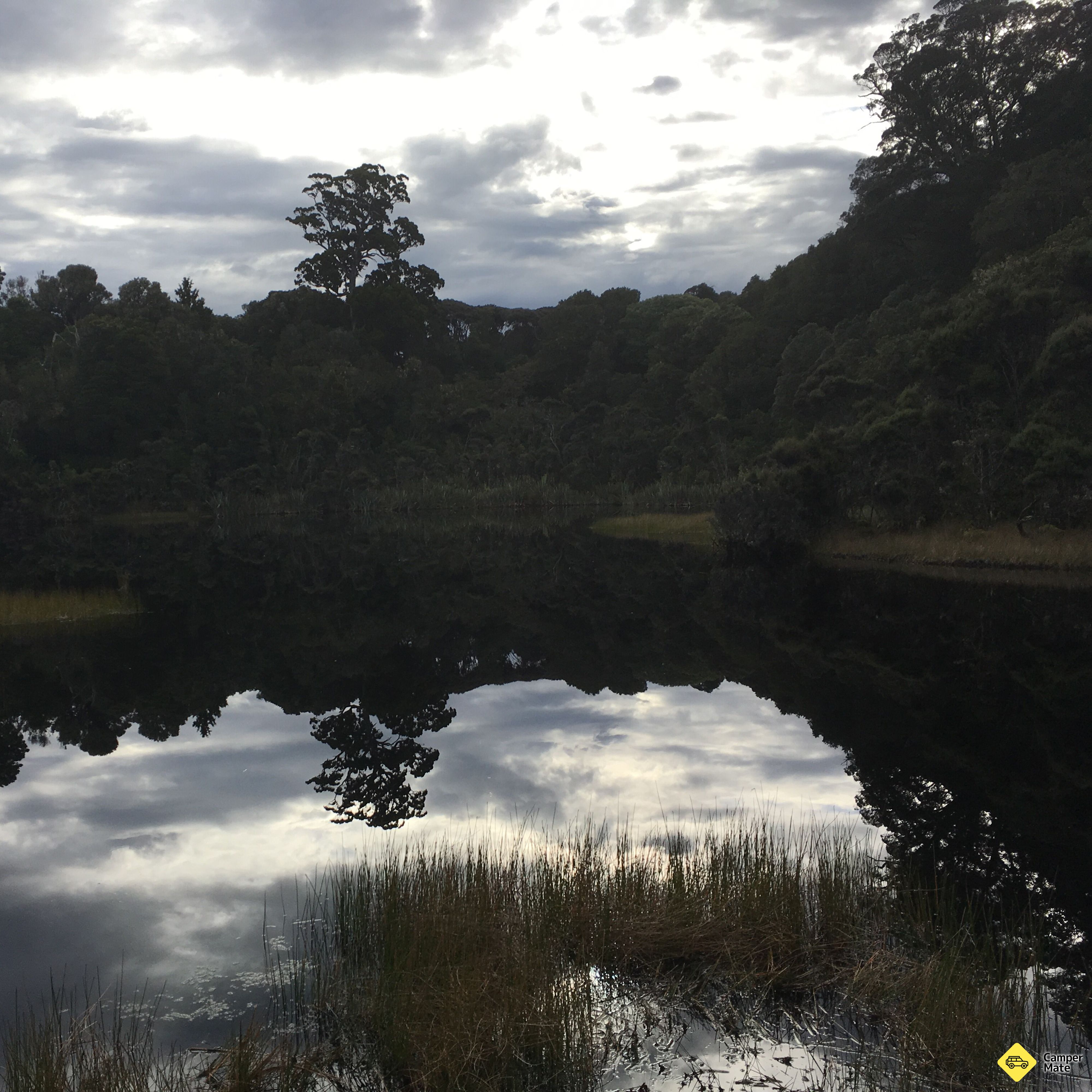 Lake Wilkie scenic walk - Image 2
