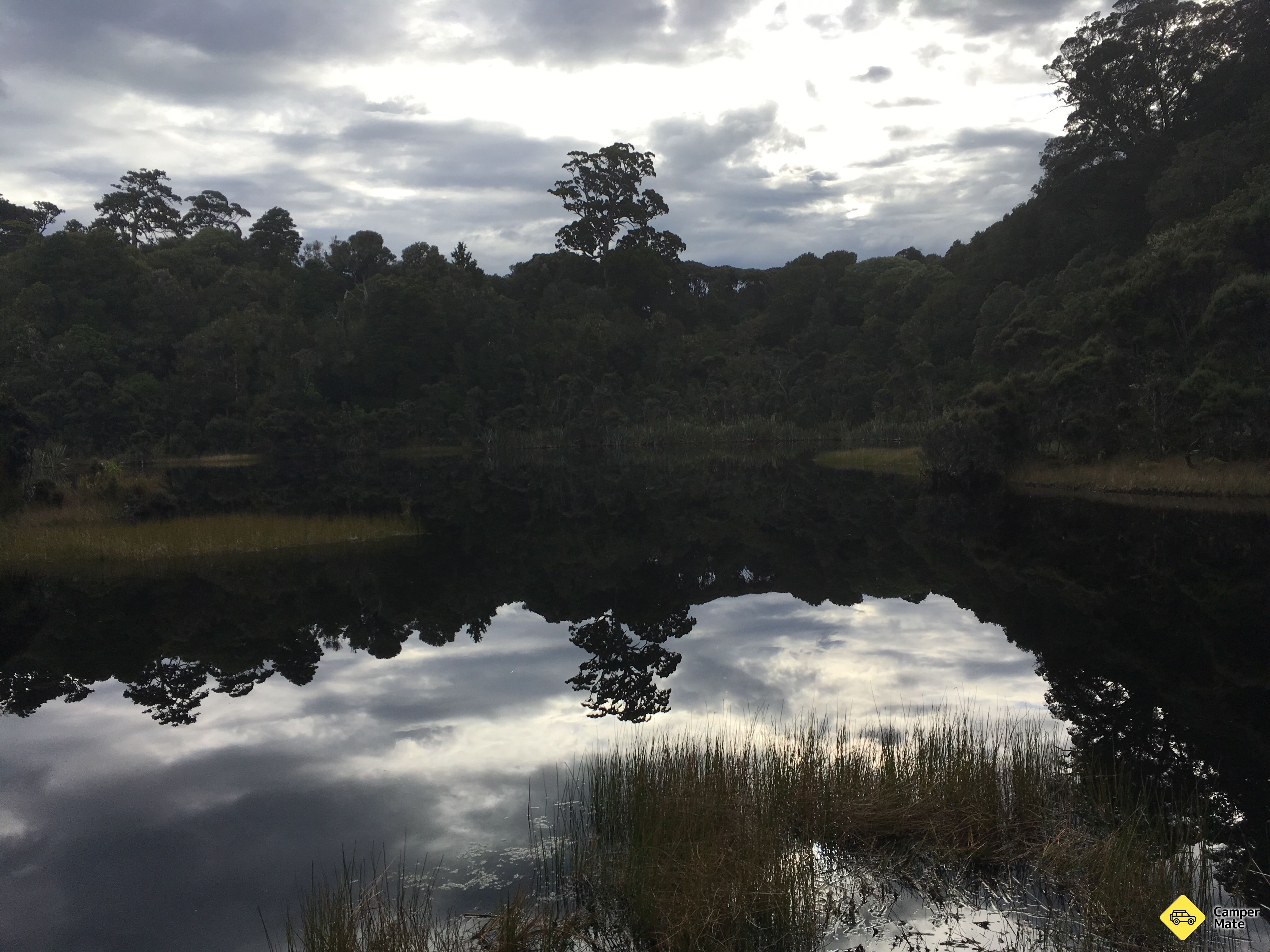 Lake Wilkie scenic walk - Image 2