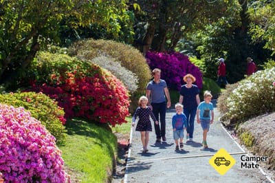 Pukeiti Rhododendron Botanical Gardens(ロドデンドロン・ボタニカル・ガーデン)