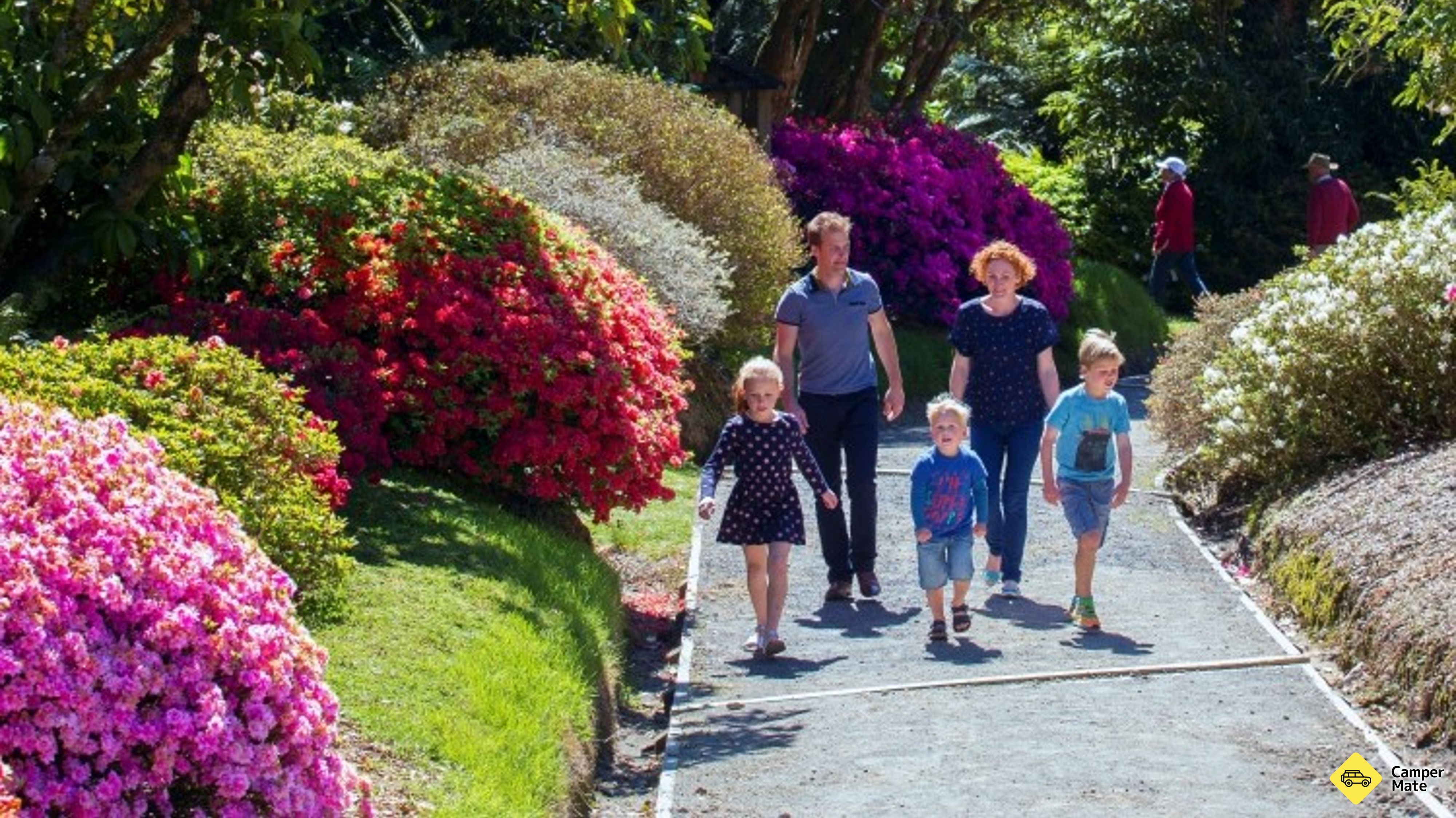 Taman Botani Rhododendron Pukeiti
