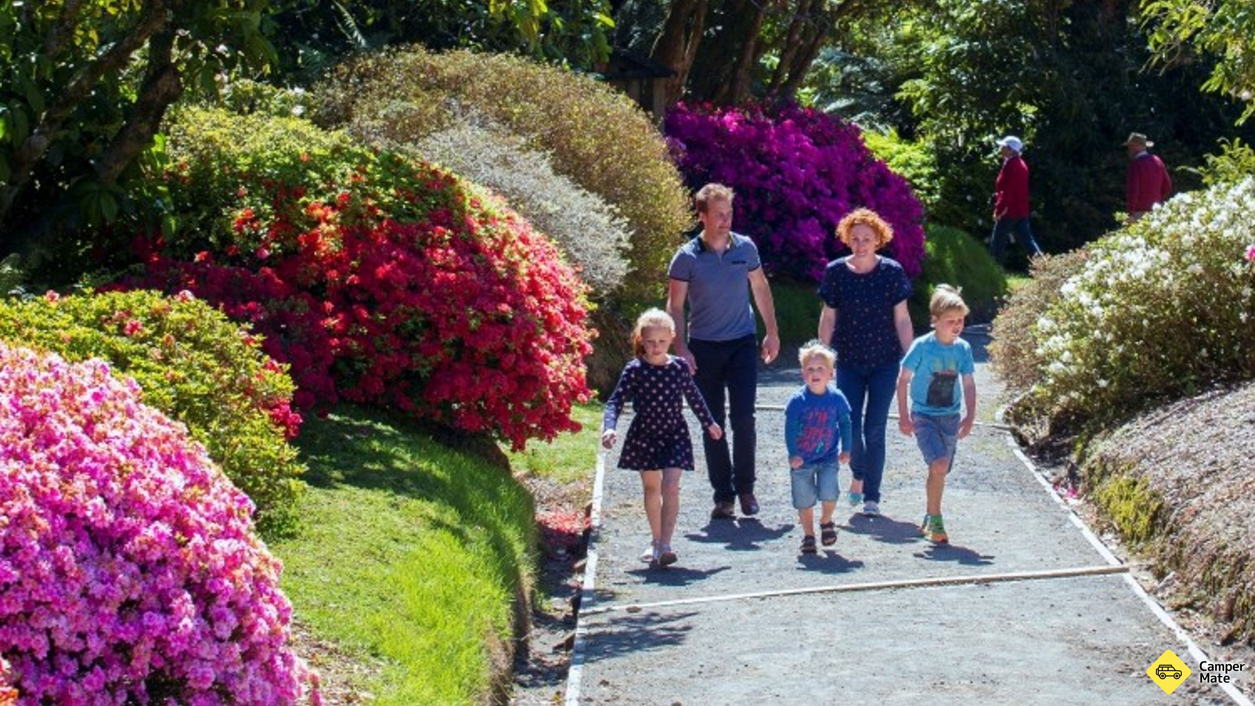 Pukeiti Rhododendron Botanical Gardens(ロドデンドロン・ボタニカル・ガーデン)