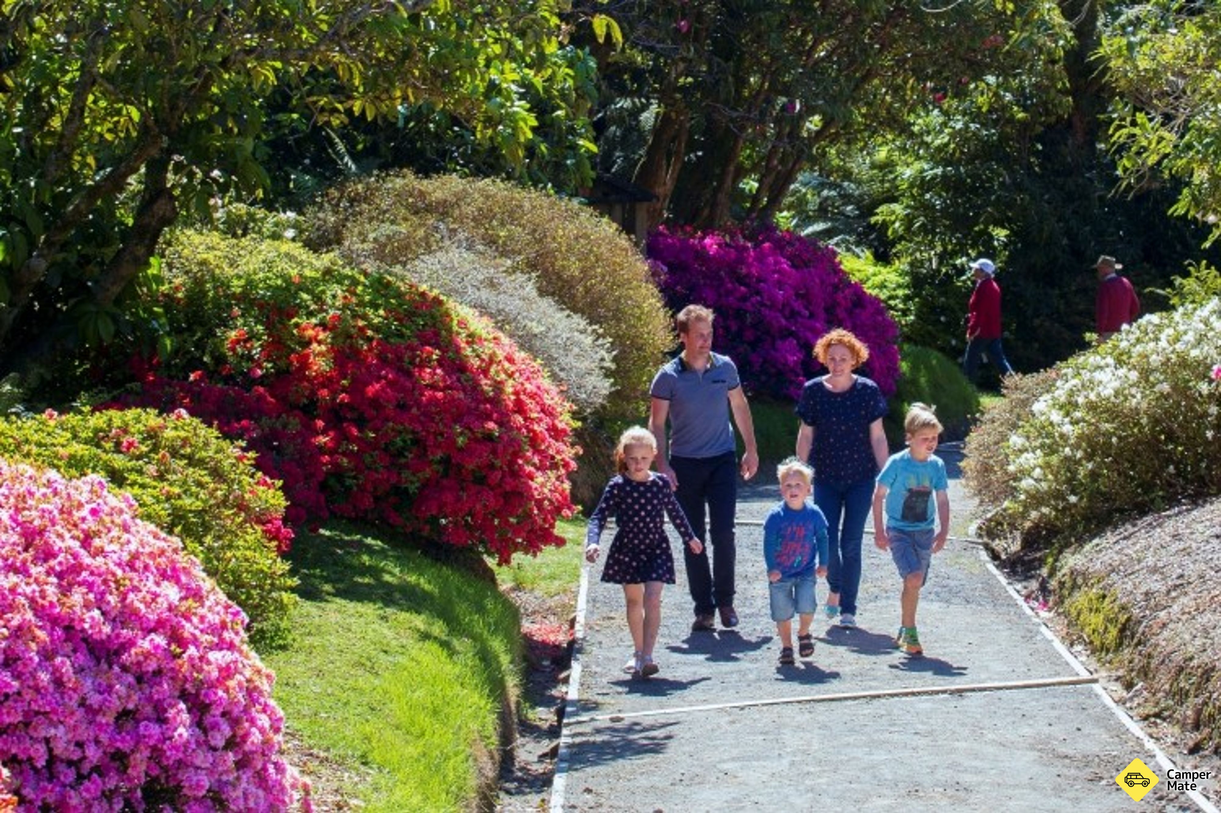 Pukeiti Rhododendron Botanical Gardens(ロドデンドロン・ボタニカル・ガーデン)