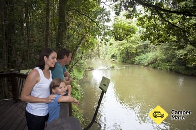 Platypus Viewpoint