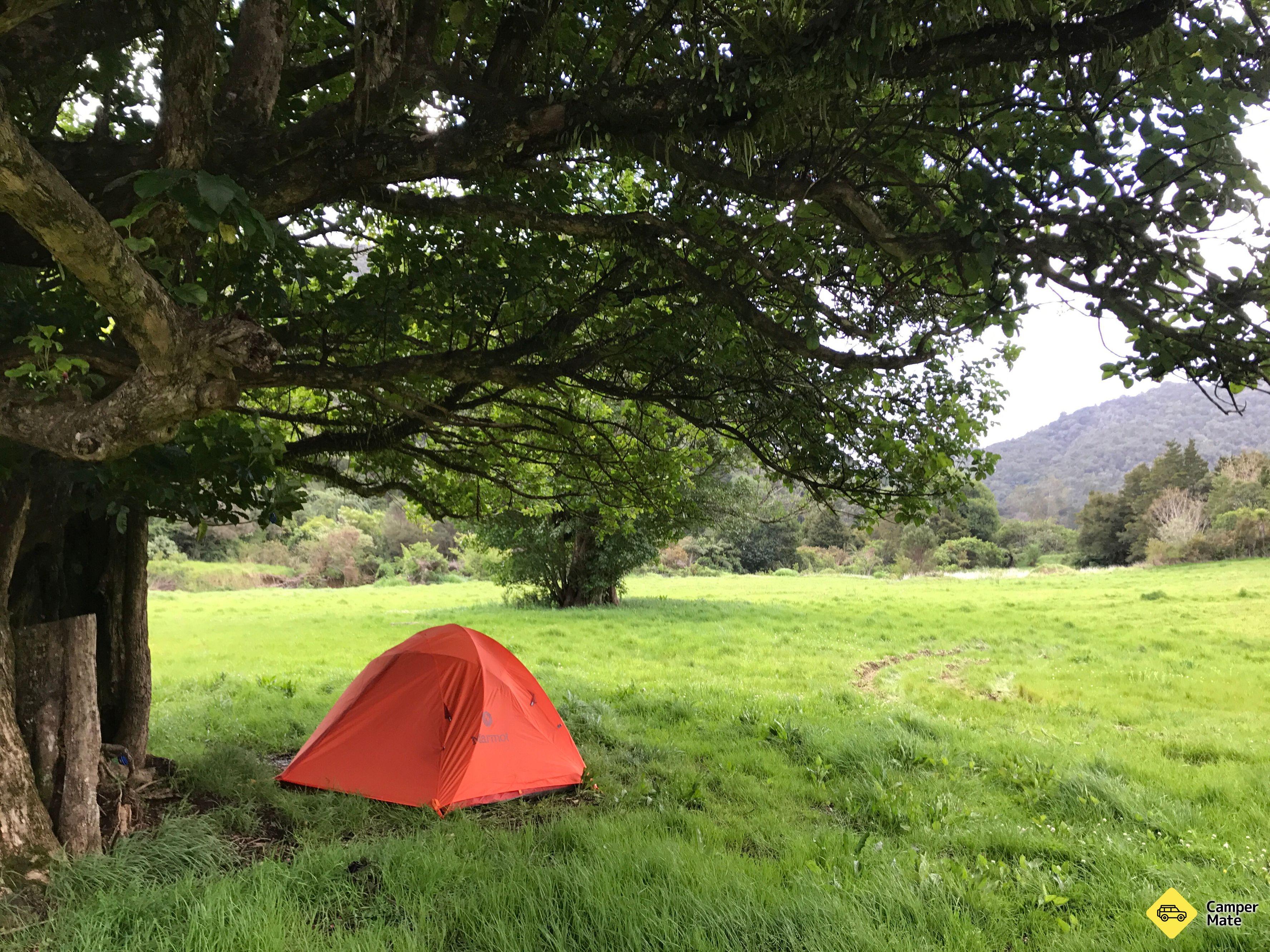 Raetea North Side Campsite - Image 3