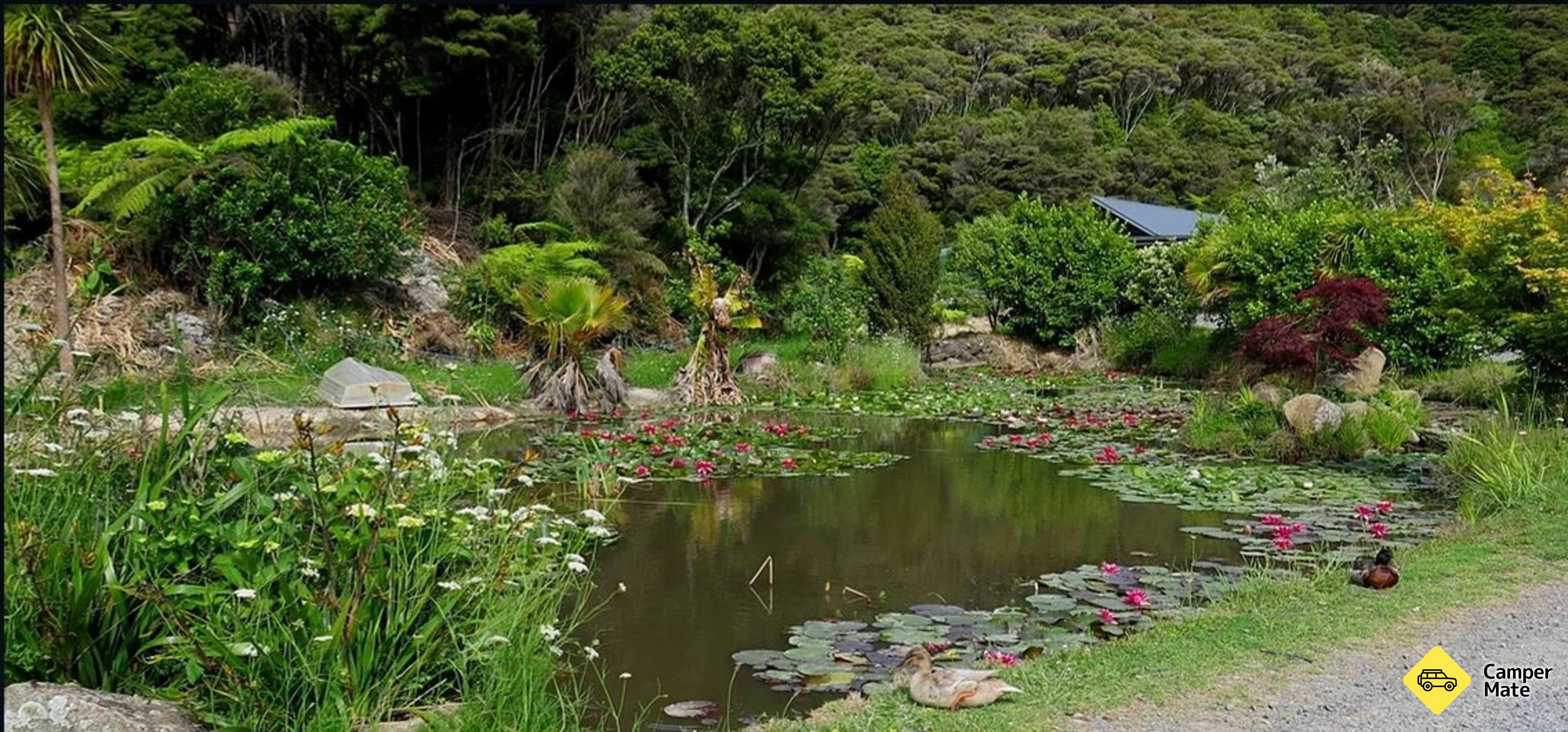 Bay of Islands Campervan Park - Image 3
