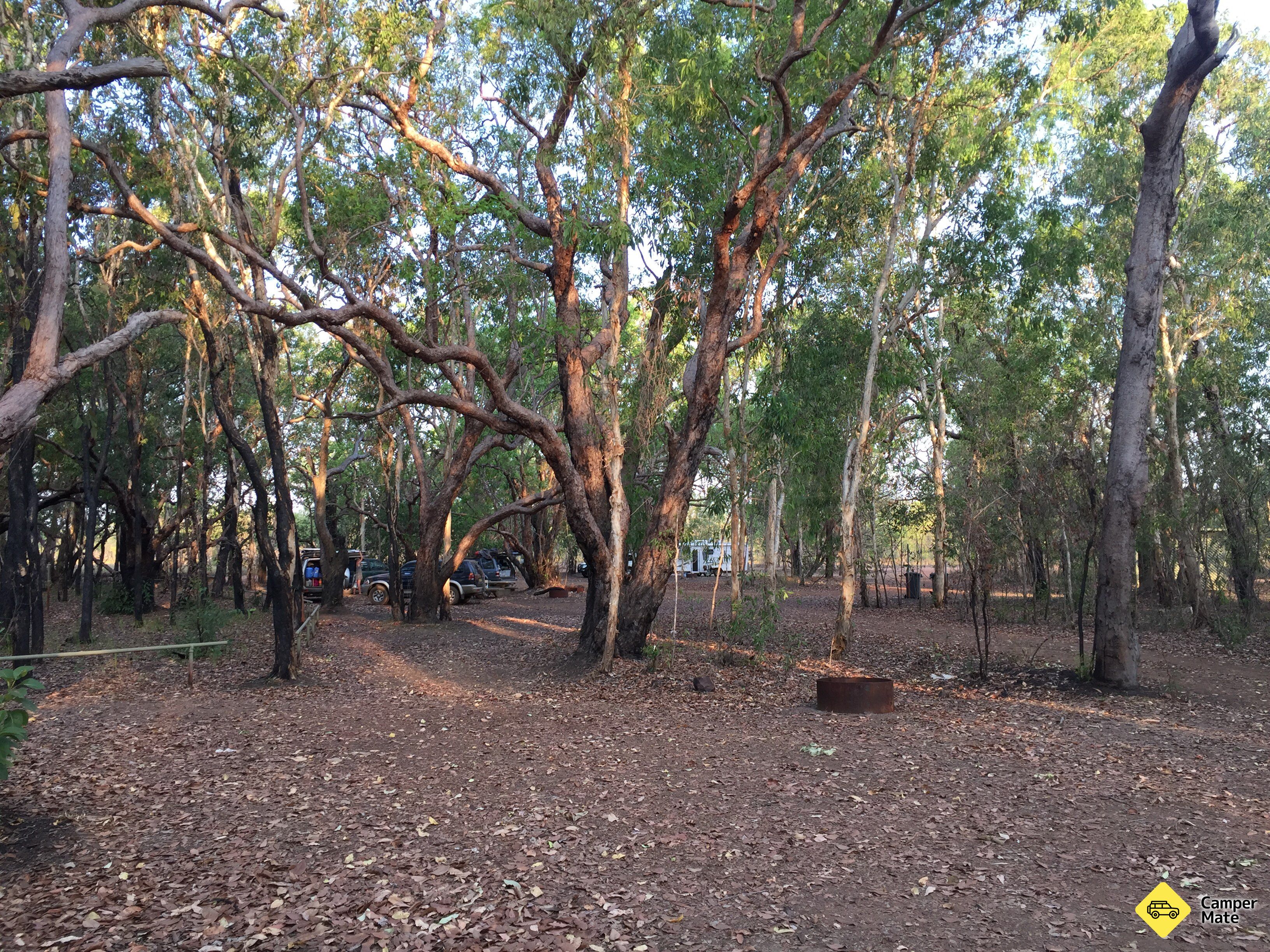 Burdulba Camping Area - Image 2