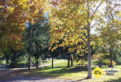 Adelong Golden Gully Caravan Park áttekintése