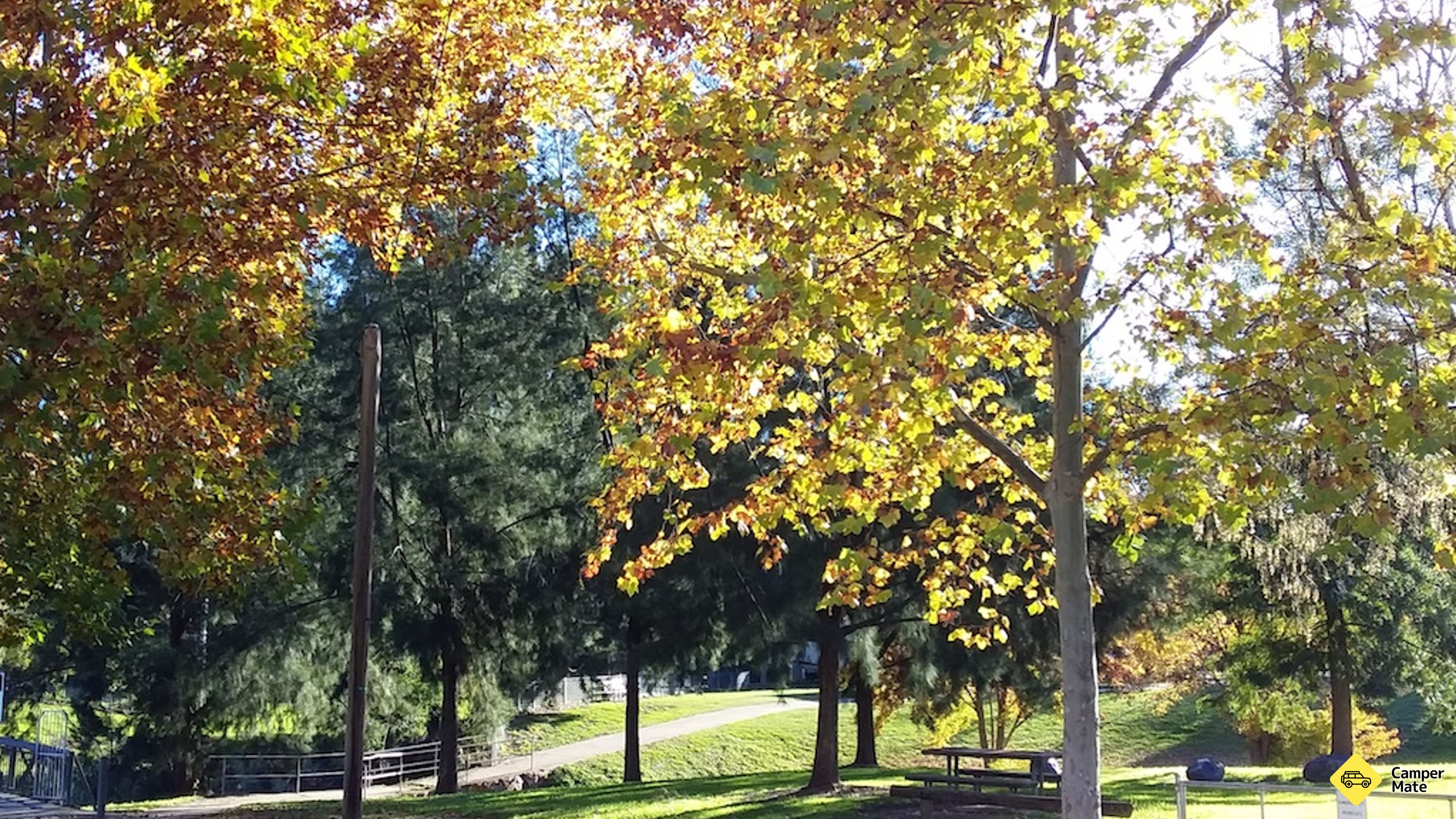 Adelong Golden Gully Caravan Park áttekintése
