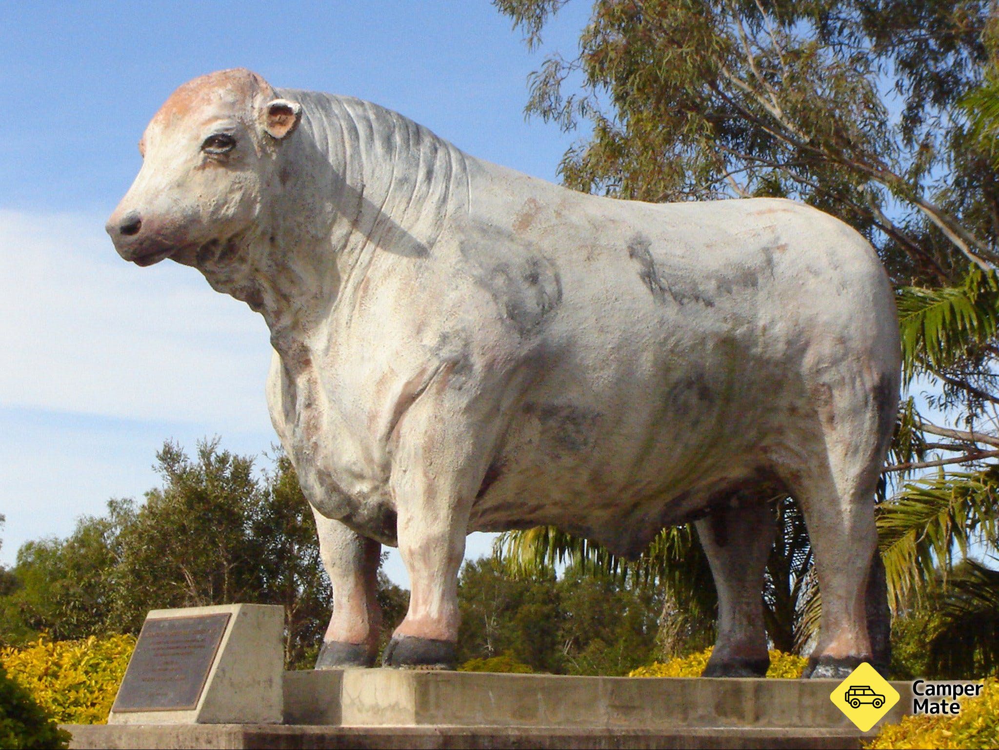 Statue van Rockhampton Bull - Image 2