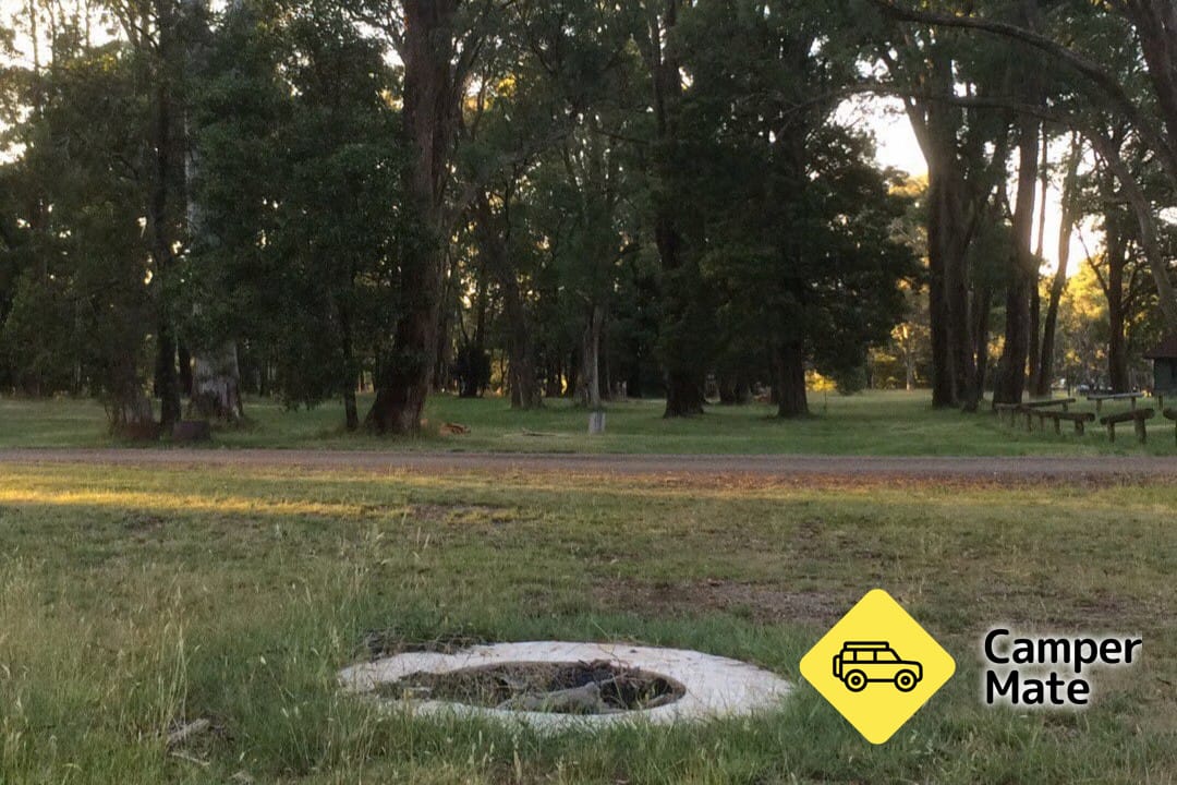 Om Tolmie Recreation Reserve