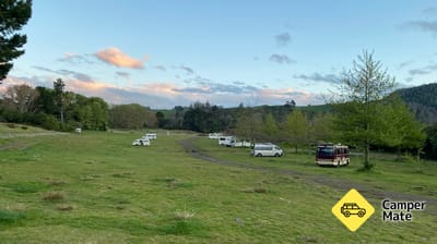 Coroglen Reserve Freedom Camping