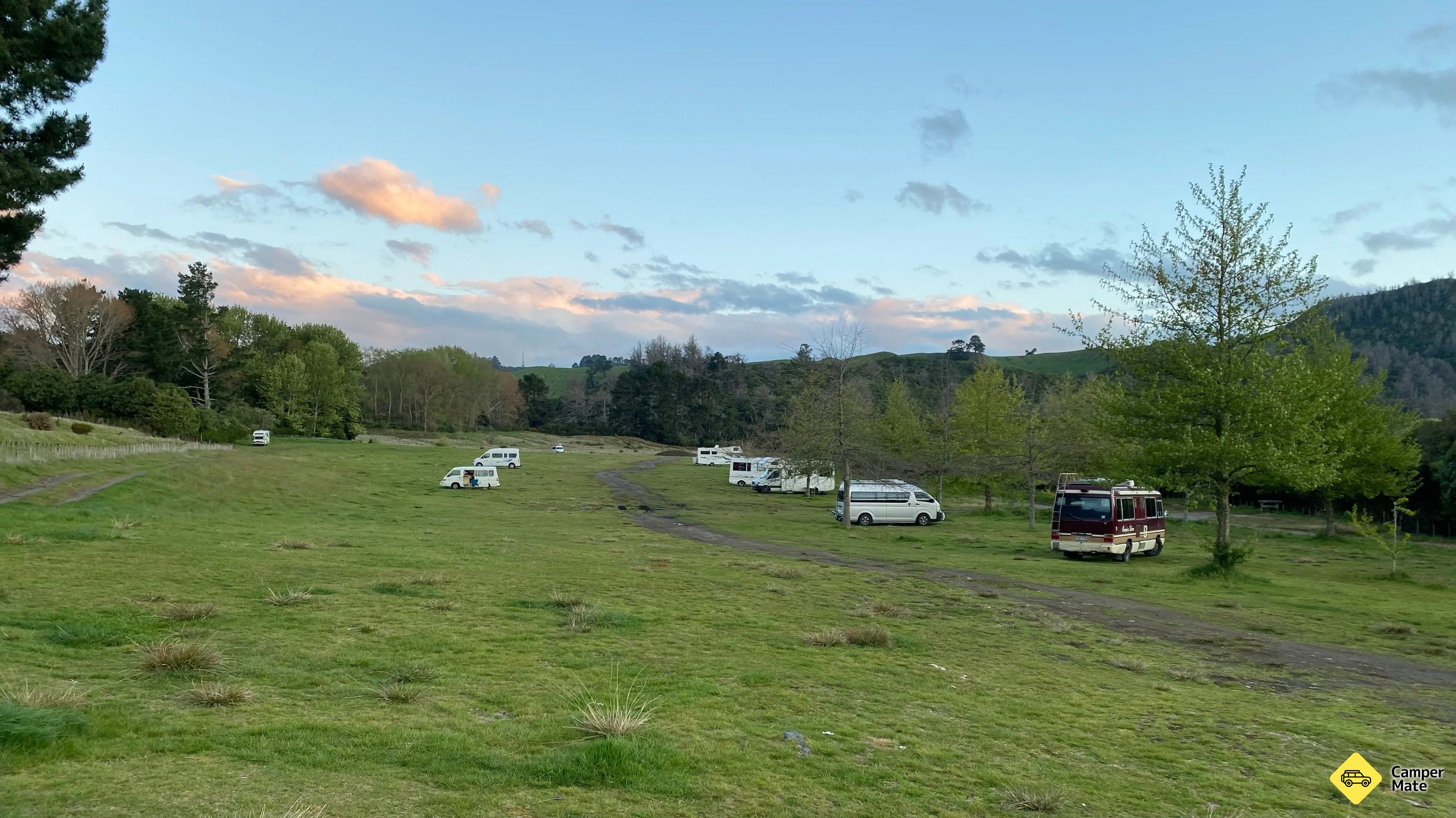 Coroglen Reserve Freedom Camping