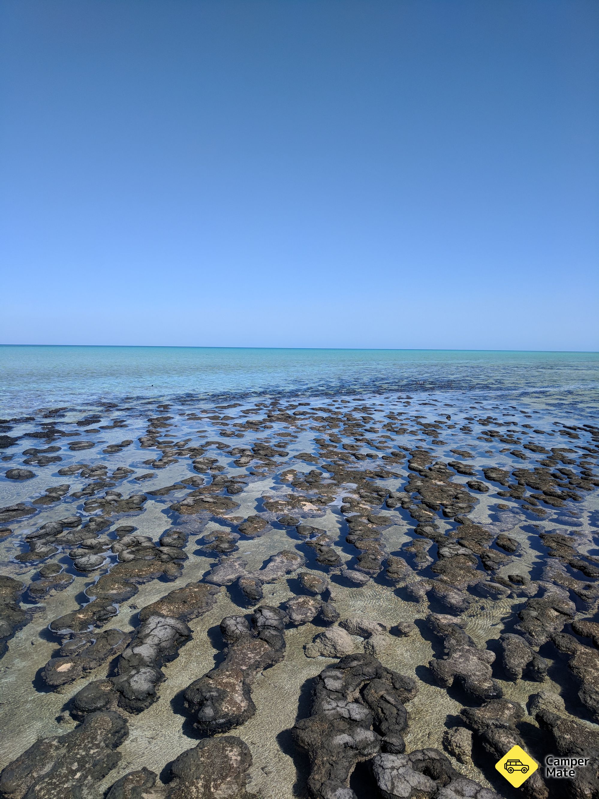 Hamelin Pool Marine Nature Reserve - Image 2