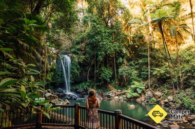 Curtis Falls Walking Track