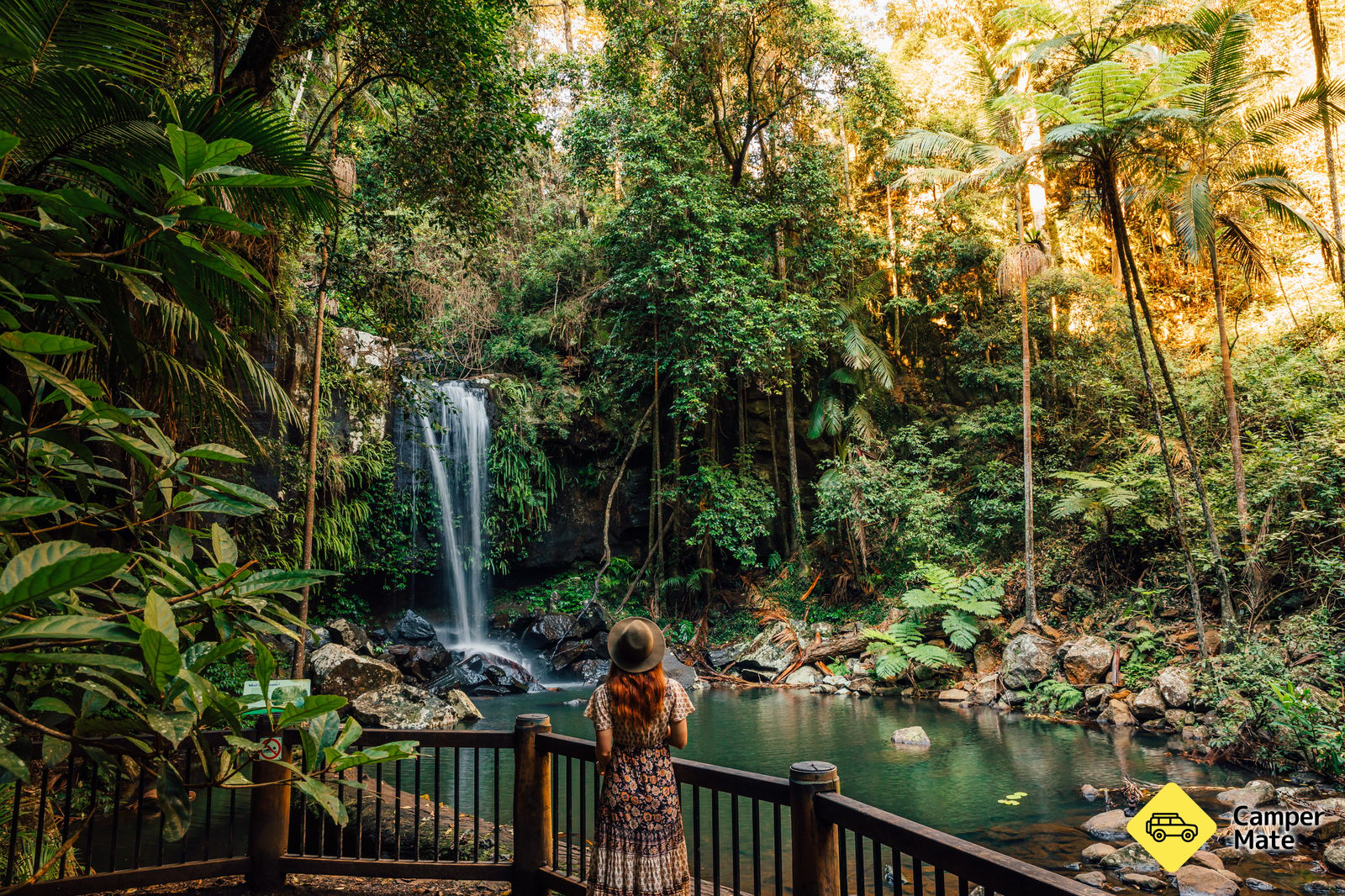 Curtis Falls Track