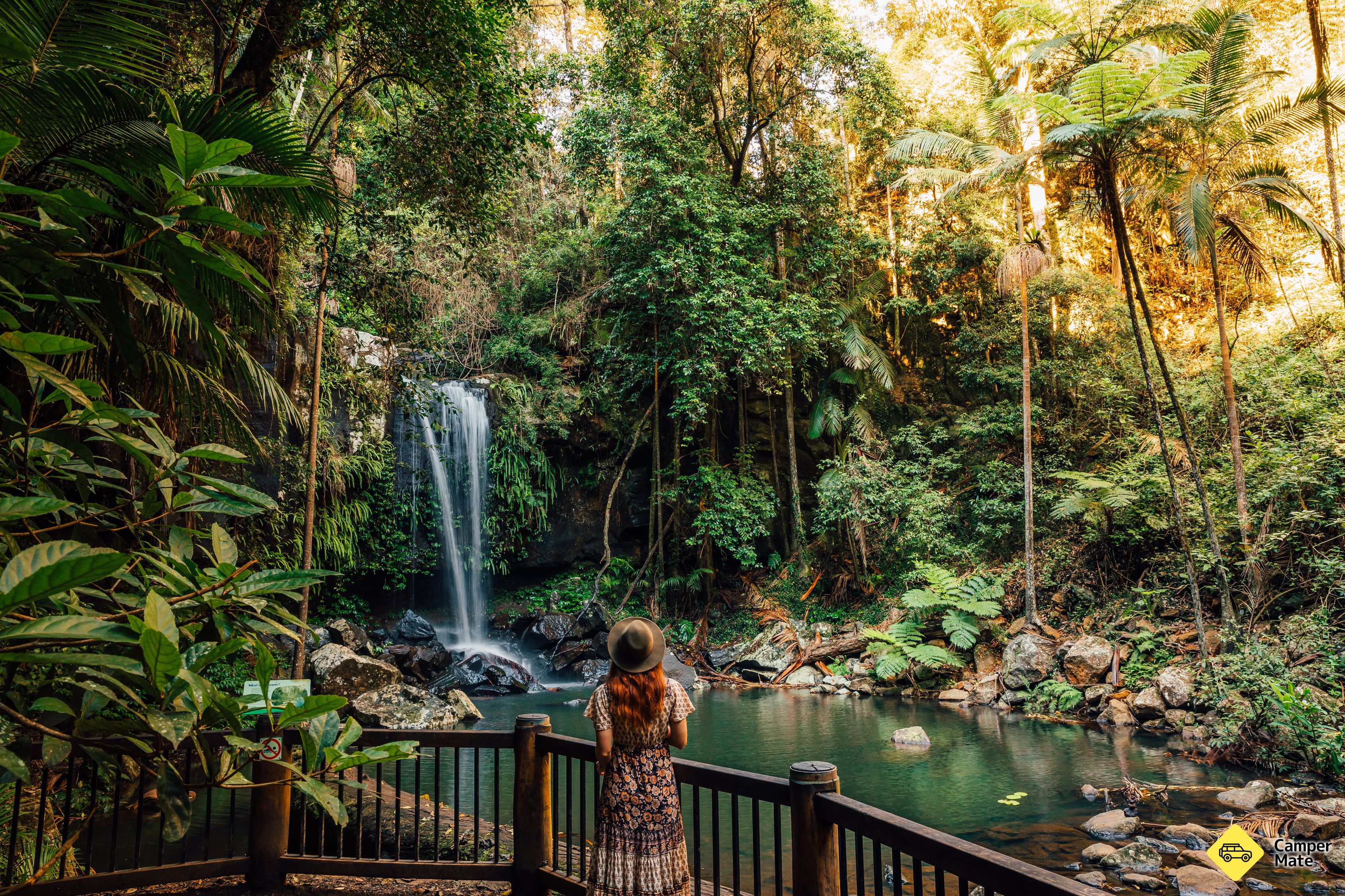 Curtis Falls Walking Track