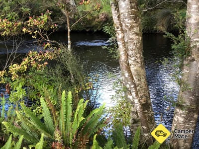 Passeggiata a Catlins River