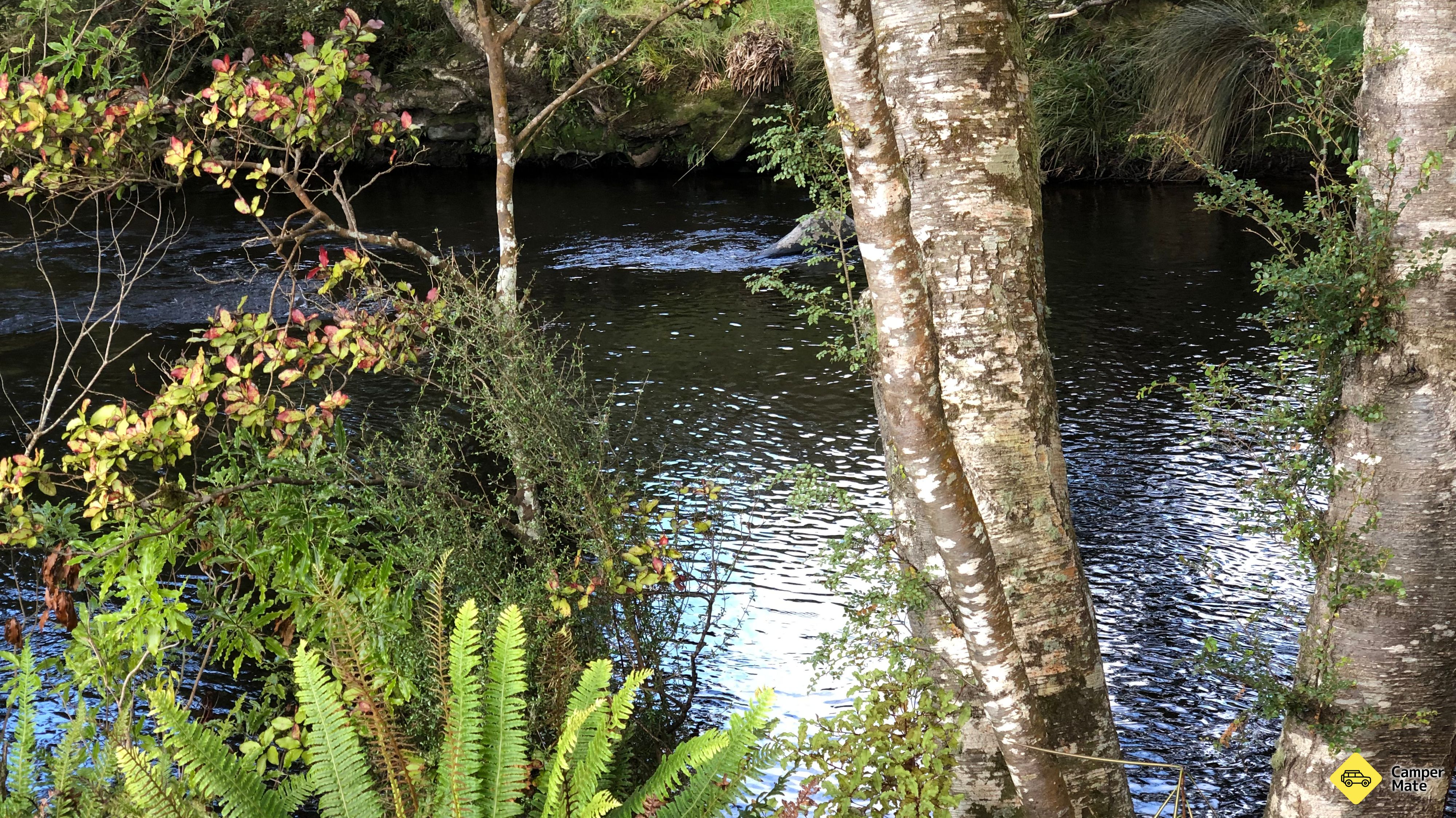 Прогулка по реке Catlins