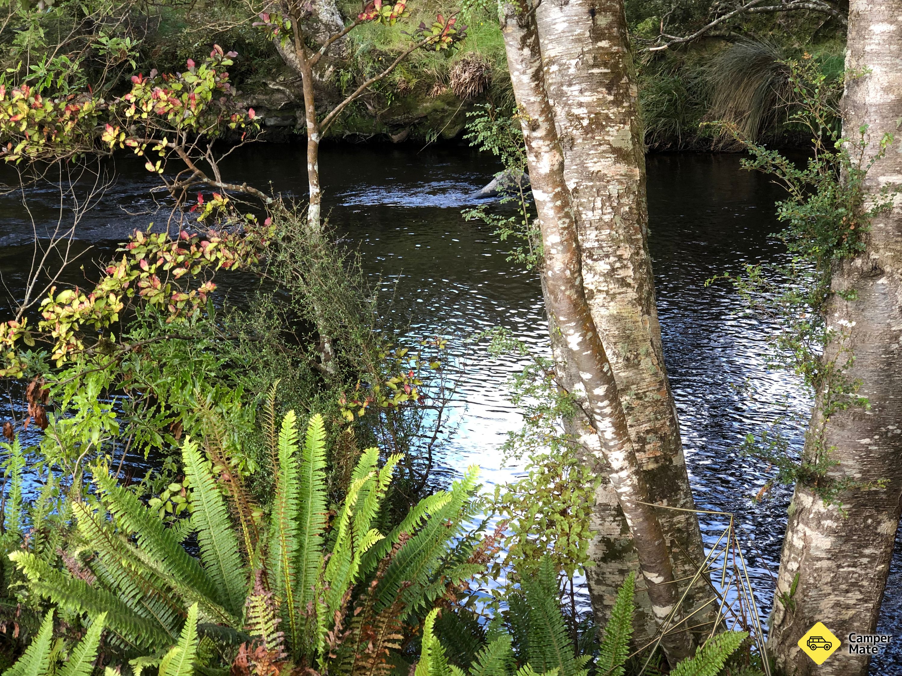 Catlins River Walk