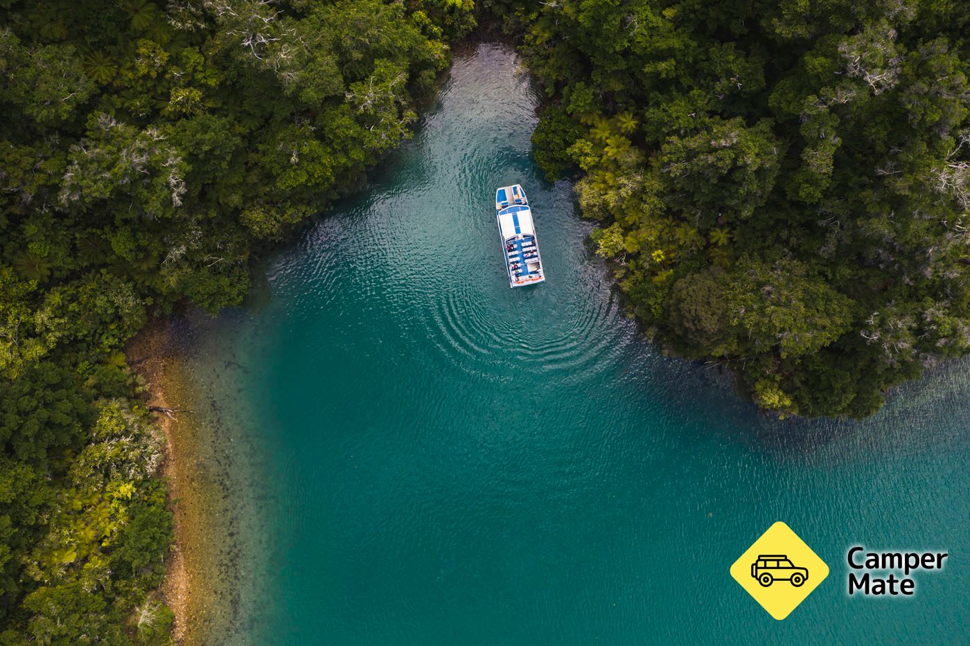 Marlborough Sounds Famous Mail Boat Cruise - Pelorus Sound - Image 3
