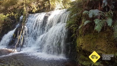 Waipohatu Waterfall Track