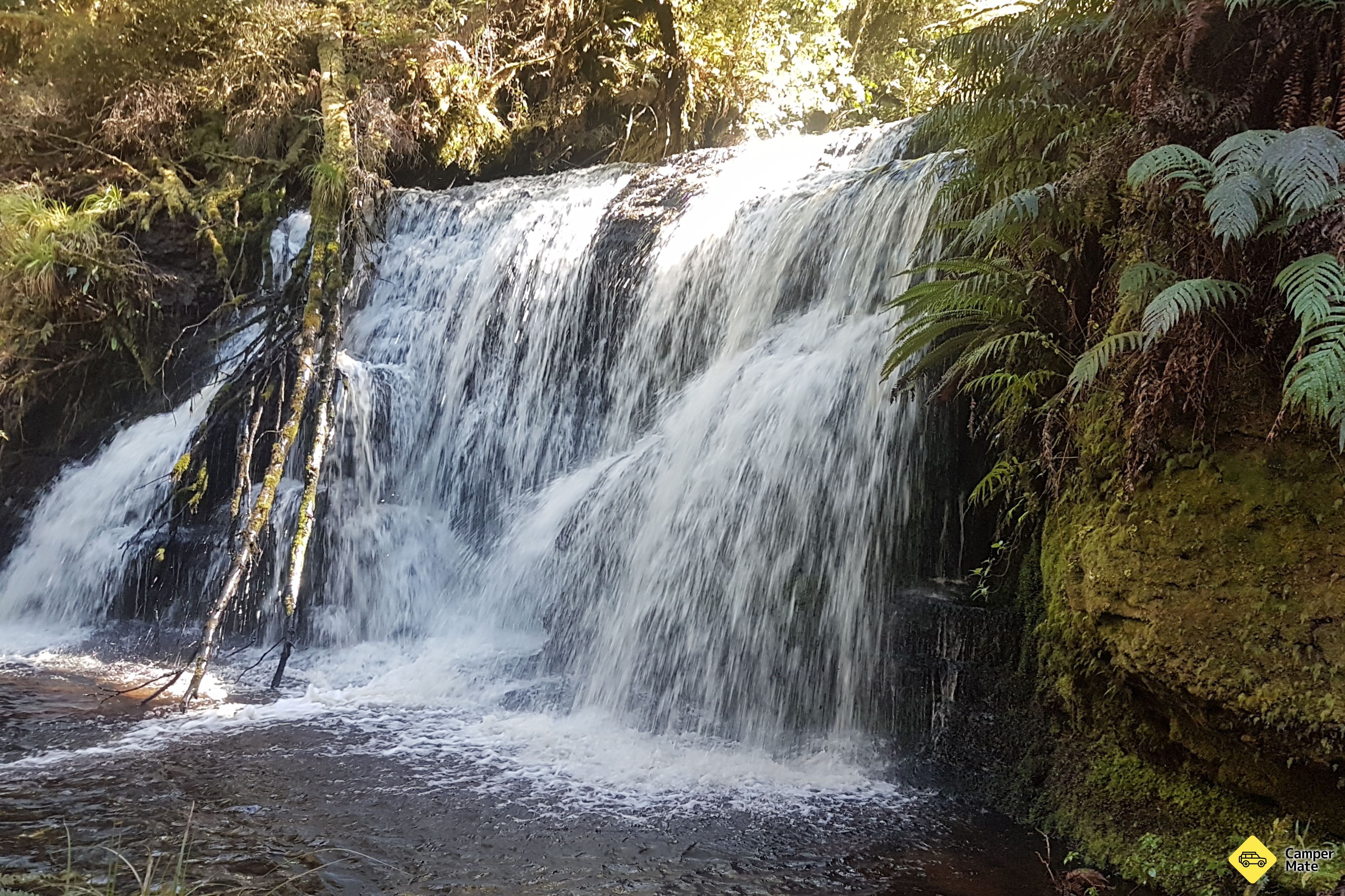 Waipohatu Waterfall Track