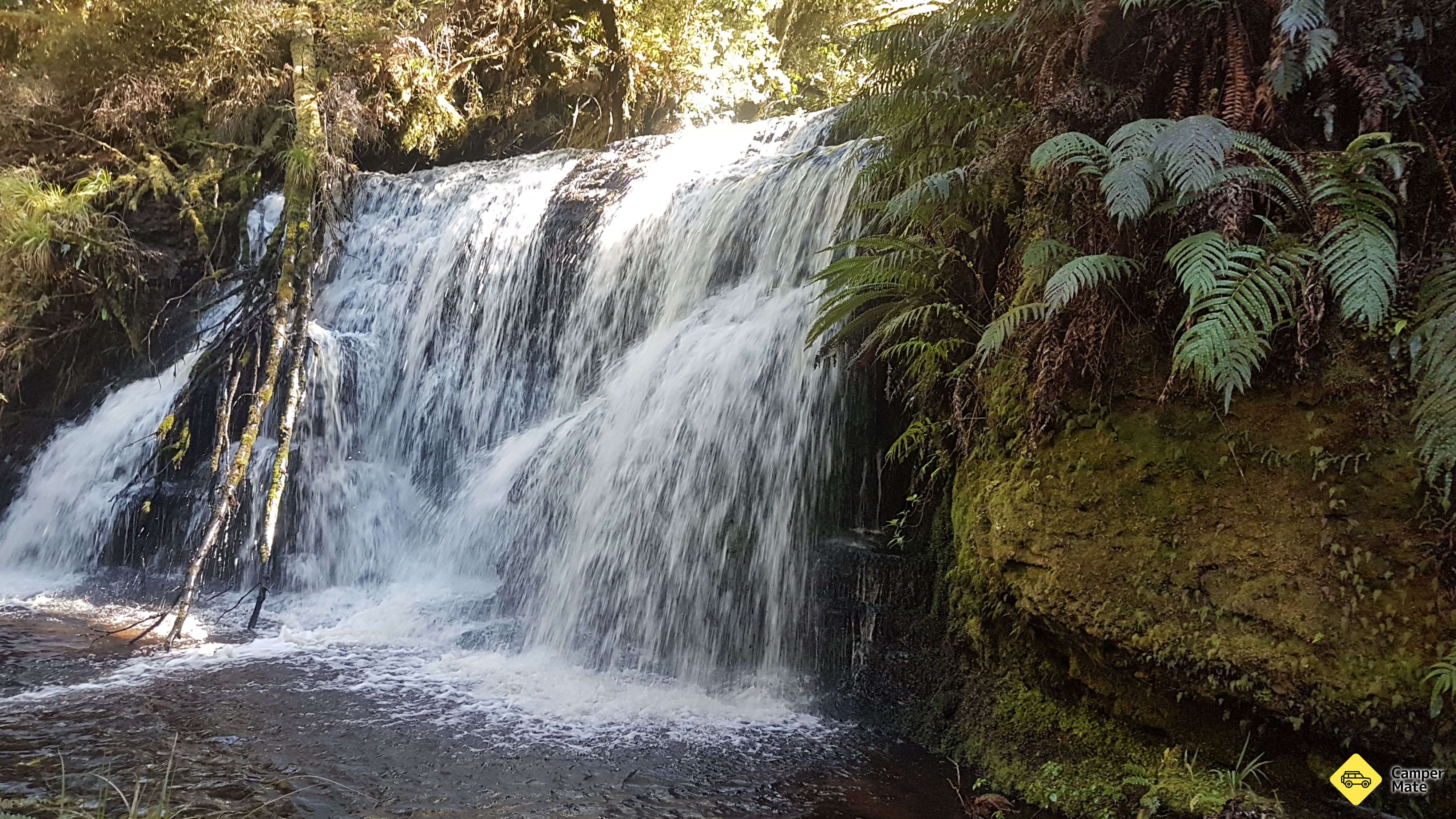 Waipohatu Waterfall Track