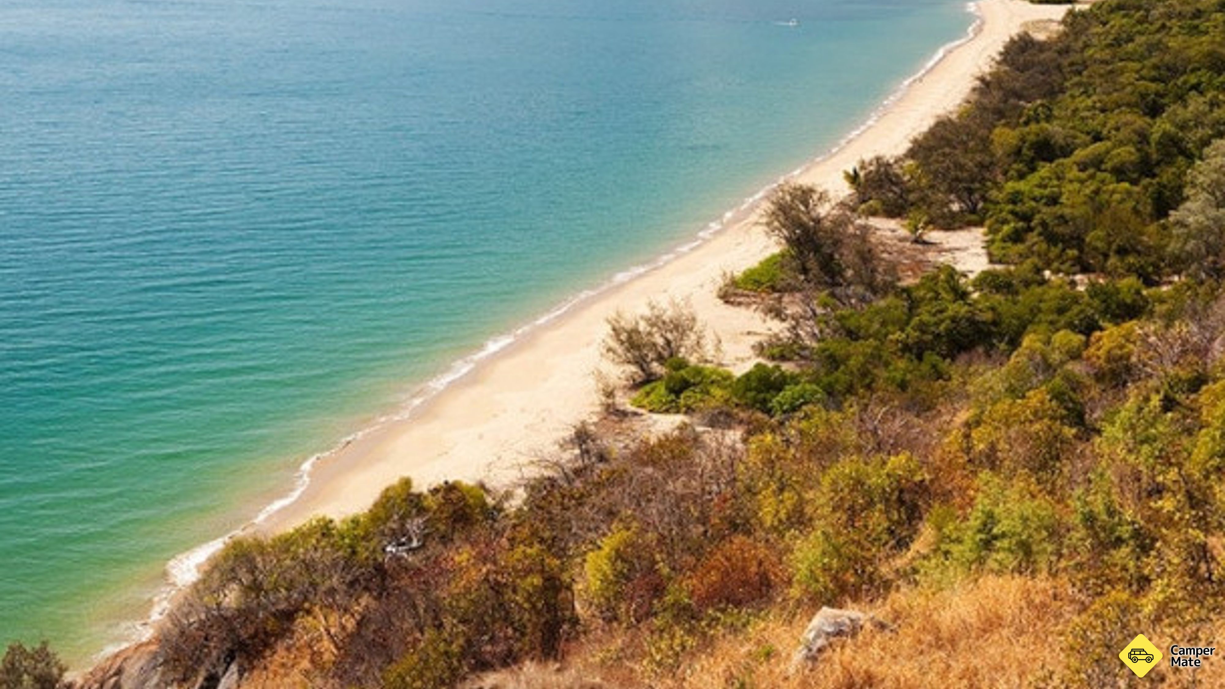 Rex Range Lookout