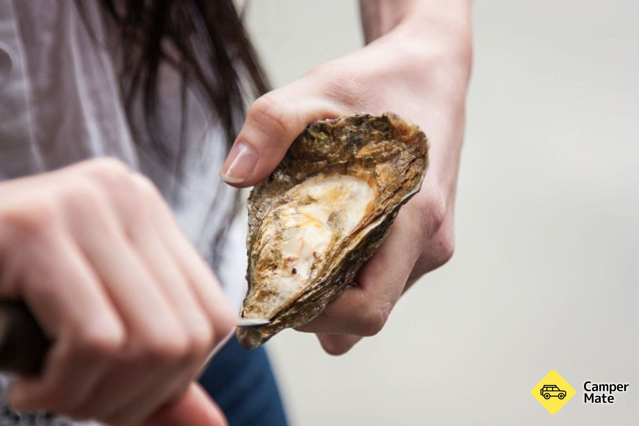 The Oyster Shed - Image 2