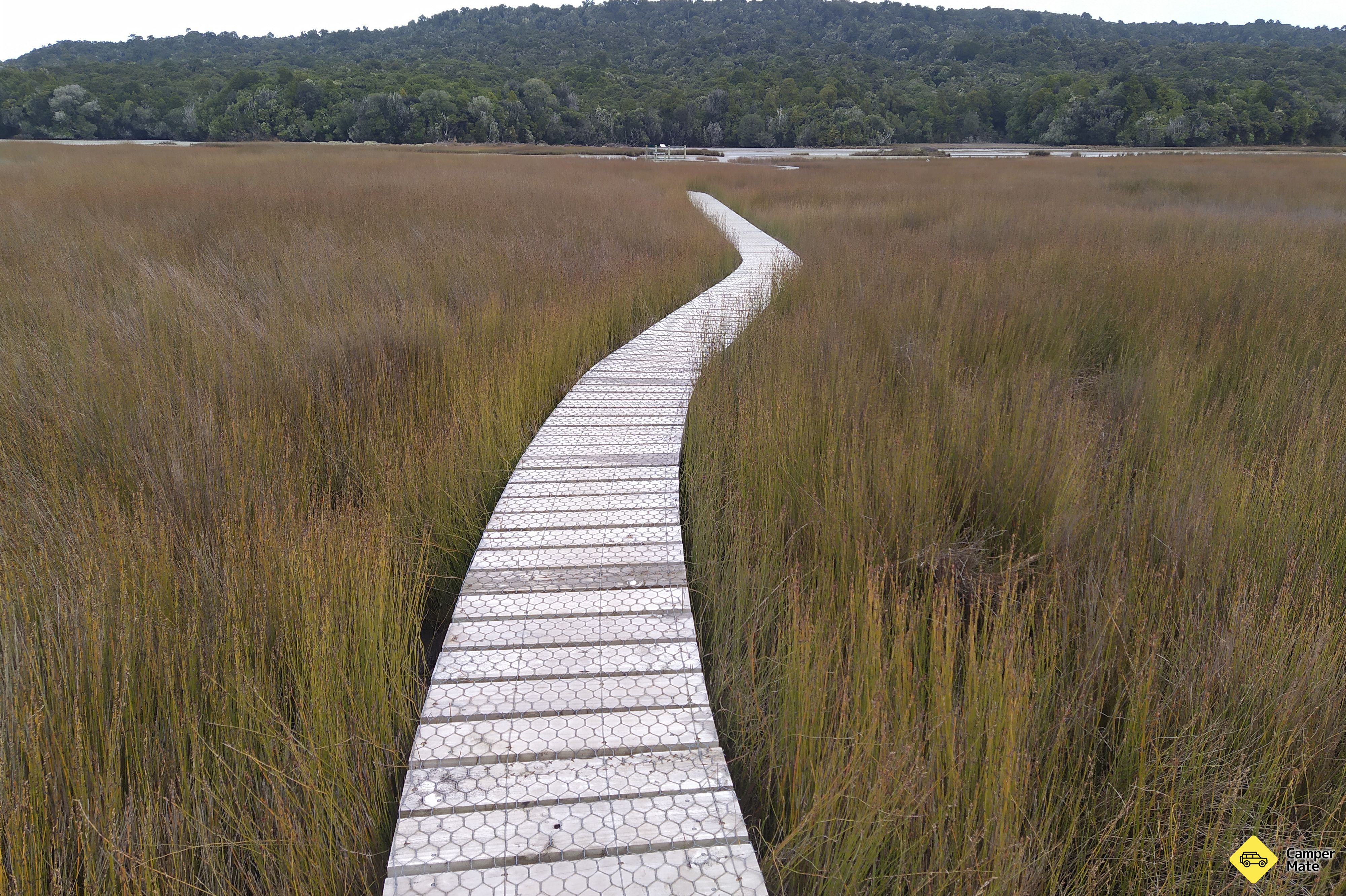 Tautuku estuario Boardwalk - Image 3