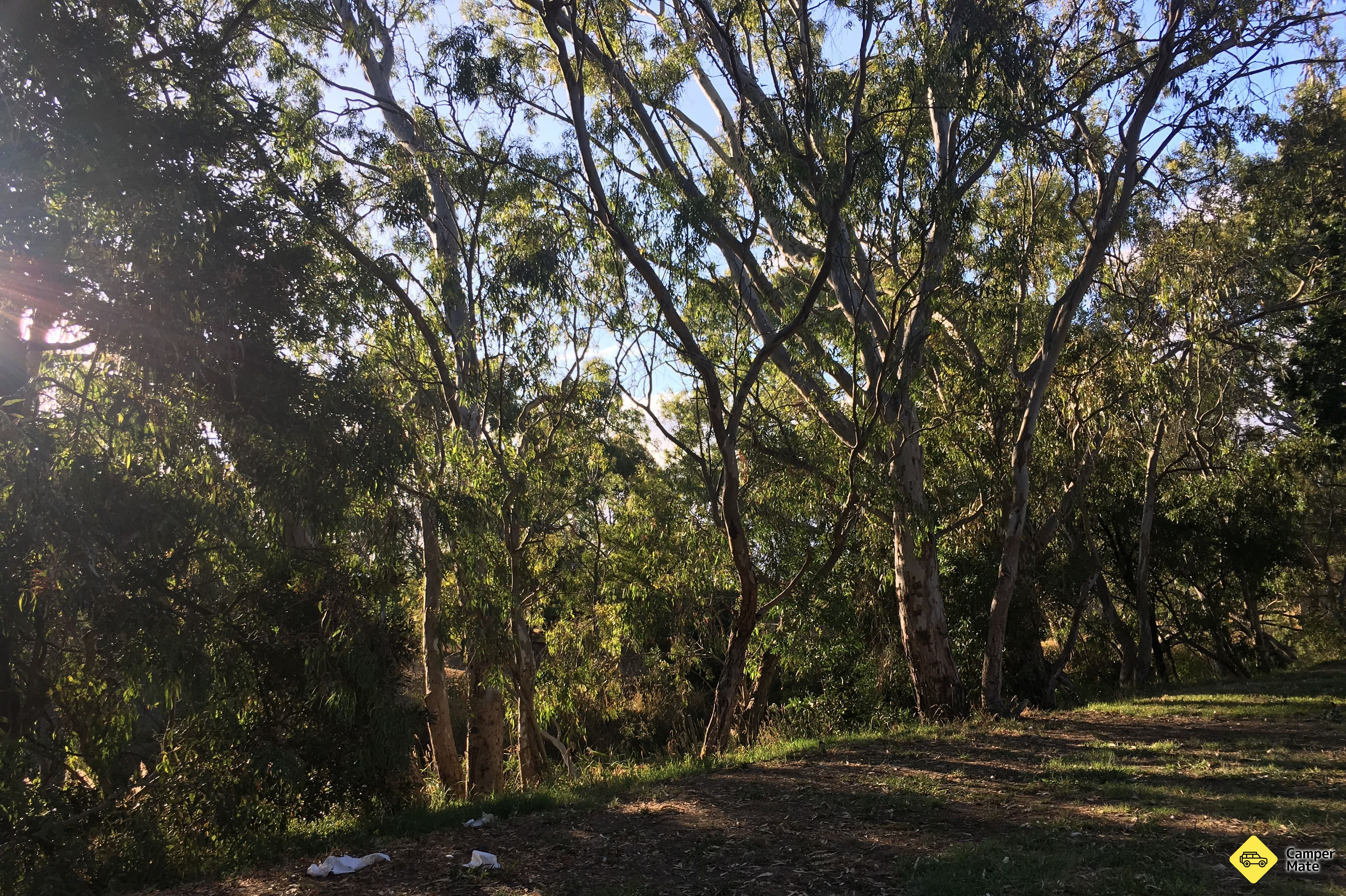 Riverbank Campground 근처 오락거리 - Image 2