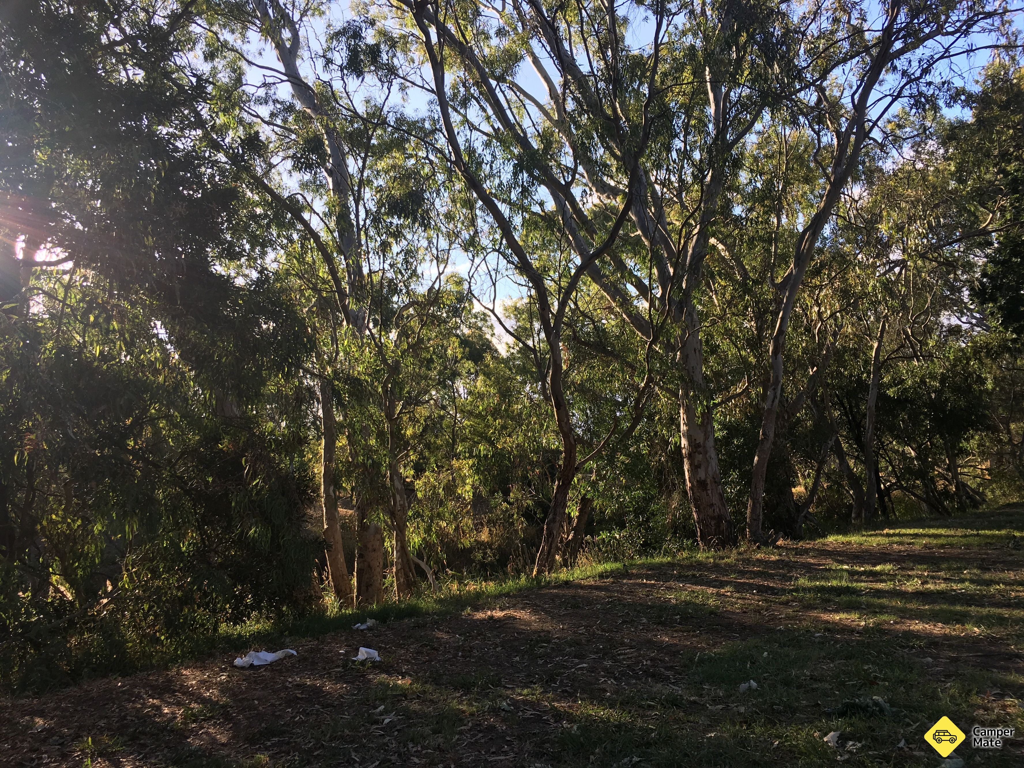 Ubytování Riverbank Campground - Image 2
