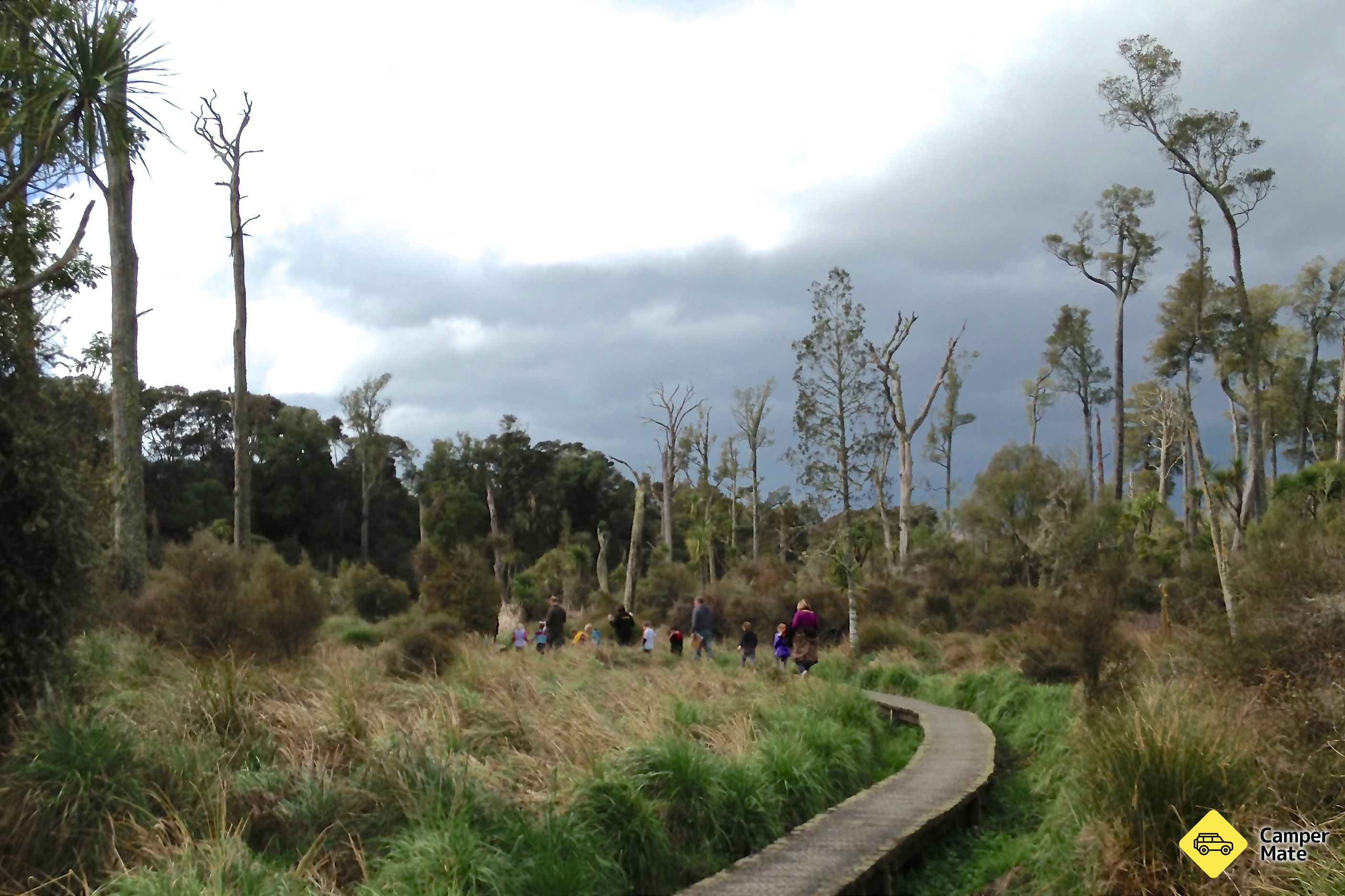 Carter Scenic Reserve - Image 3