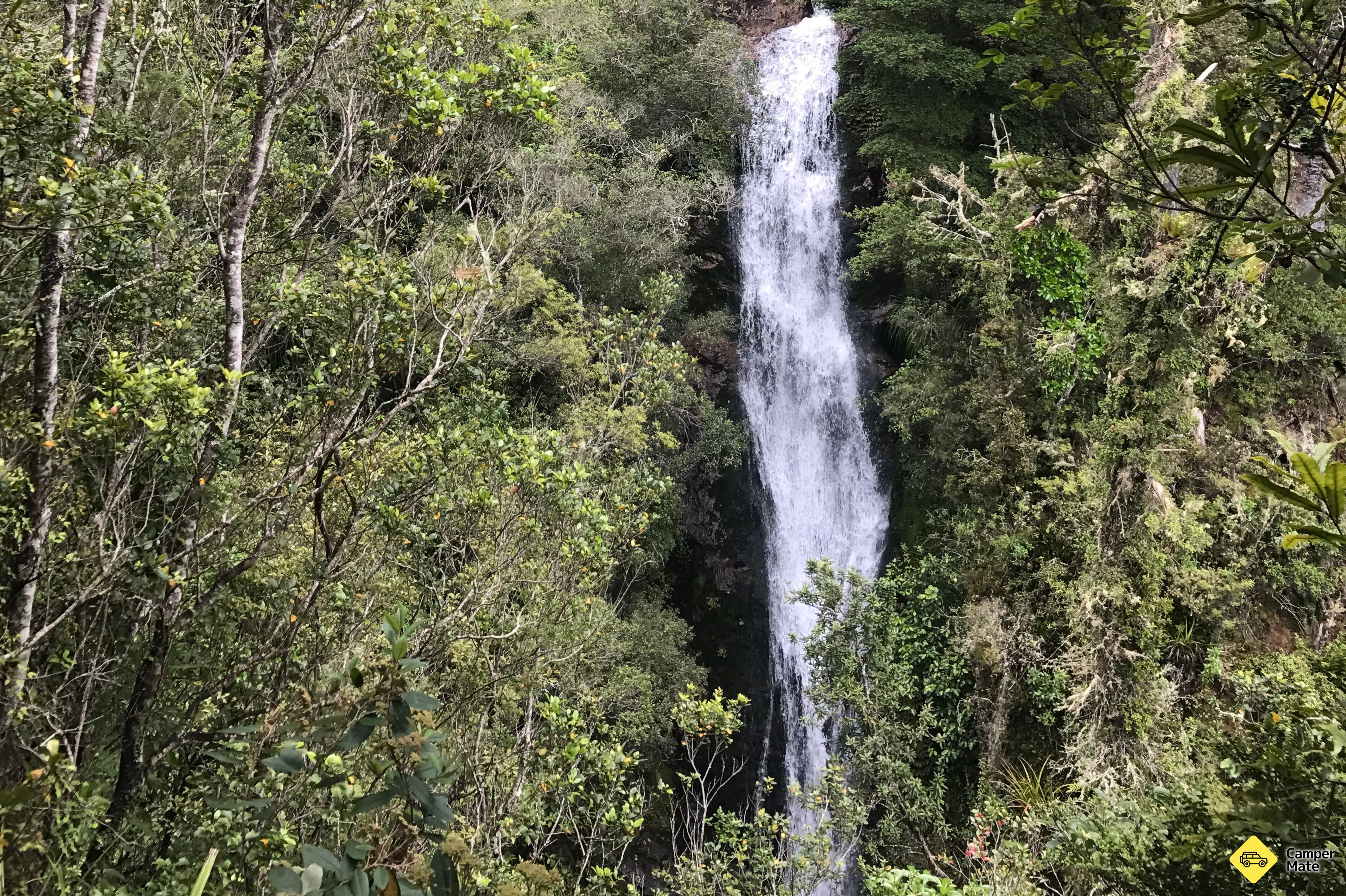 Wentworth Falls - Image 3