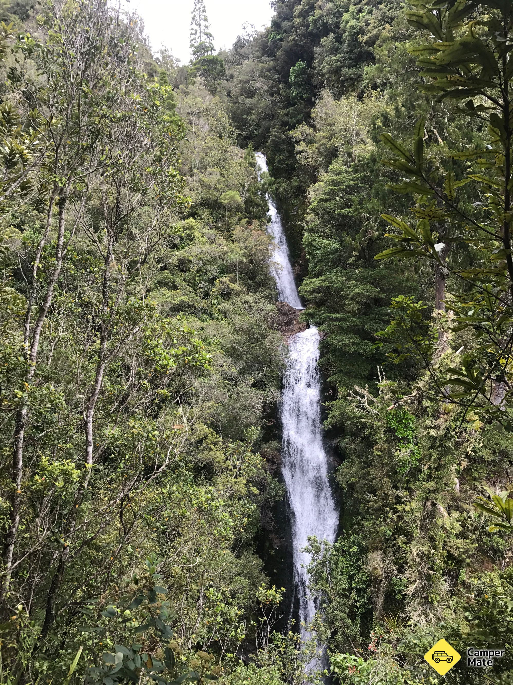 Wentworth Falls - Image 3