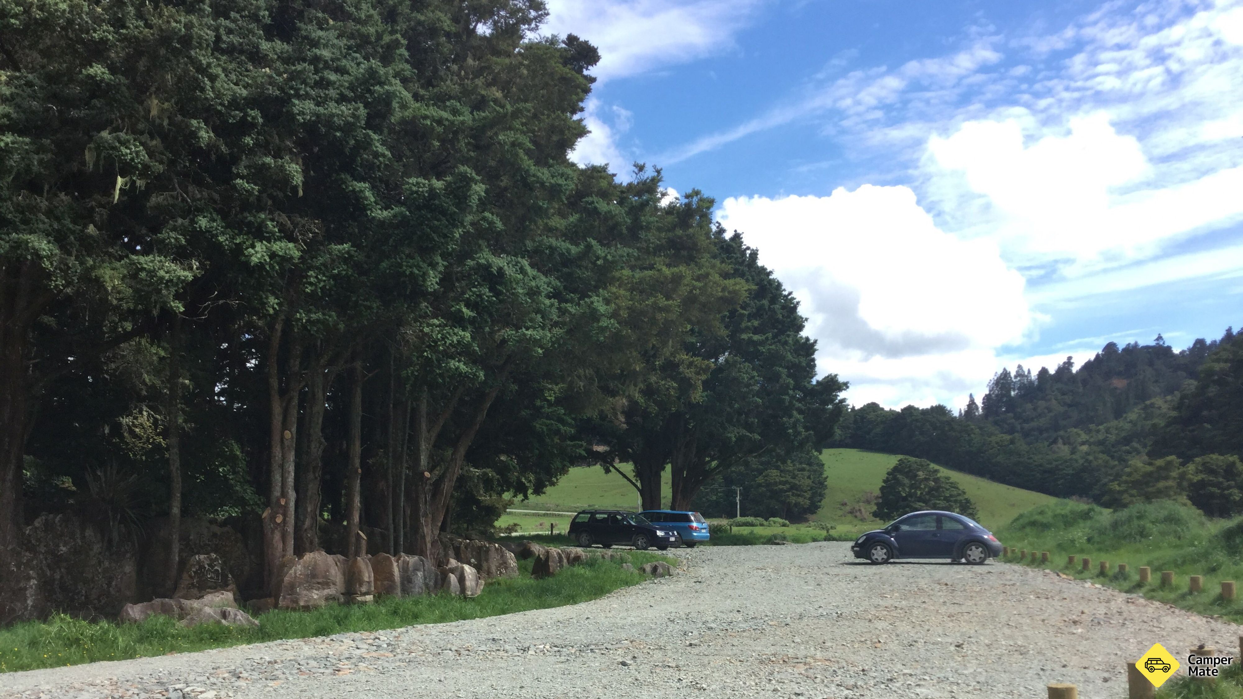 Waipu Caves Scenic Preserve 근처 오락거리