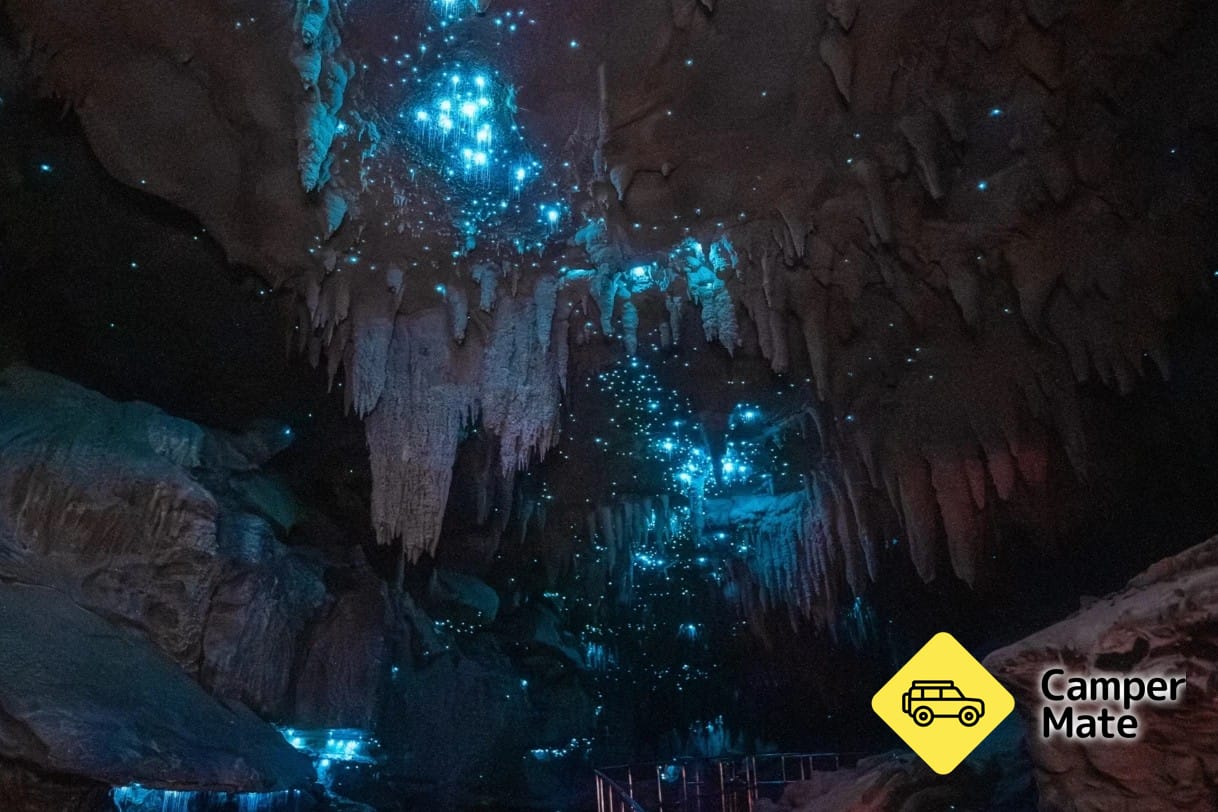 Lähde: Milky Way Glow Worm Cave - Image 2