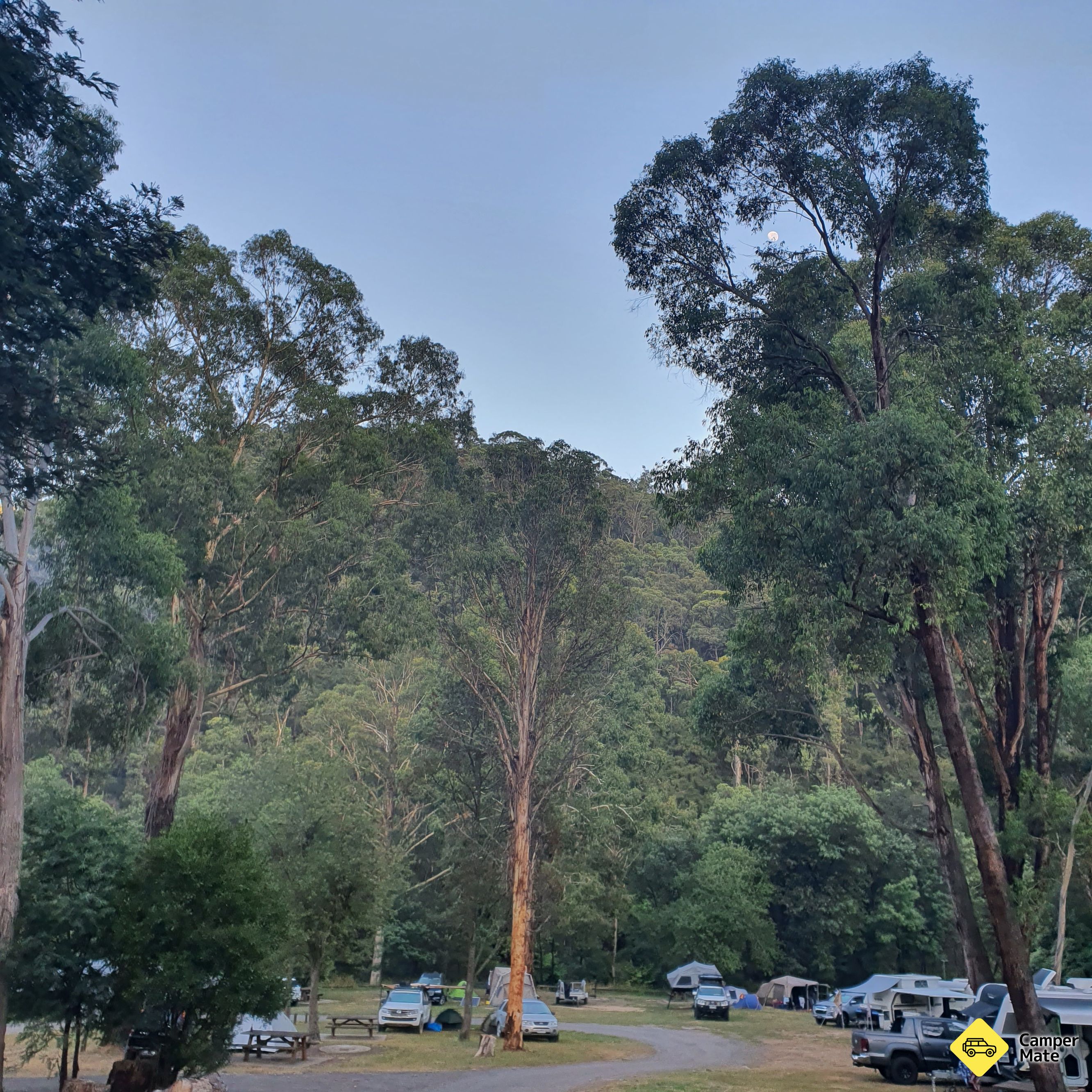 Doctors Creek Reserve - Image 3