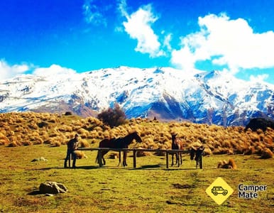The Cardrona Activity Centre
