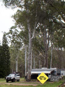 Tall Timbers Roadhouse 