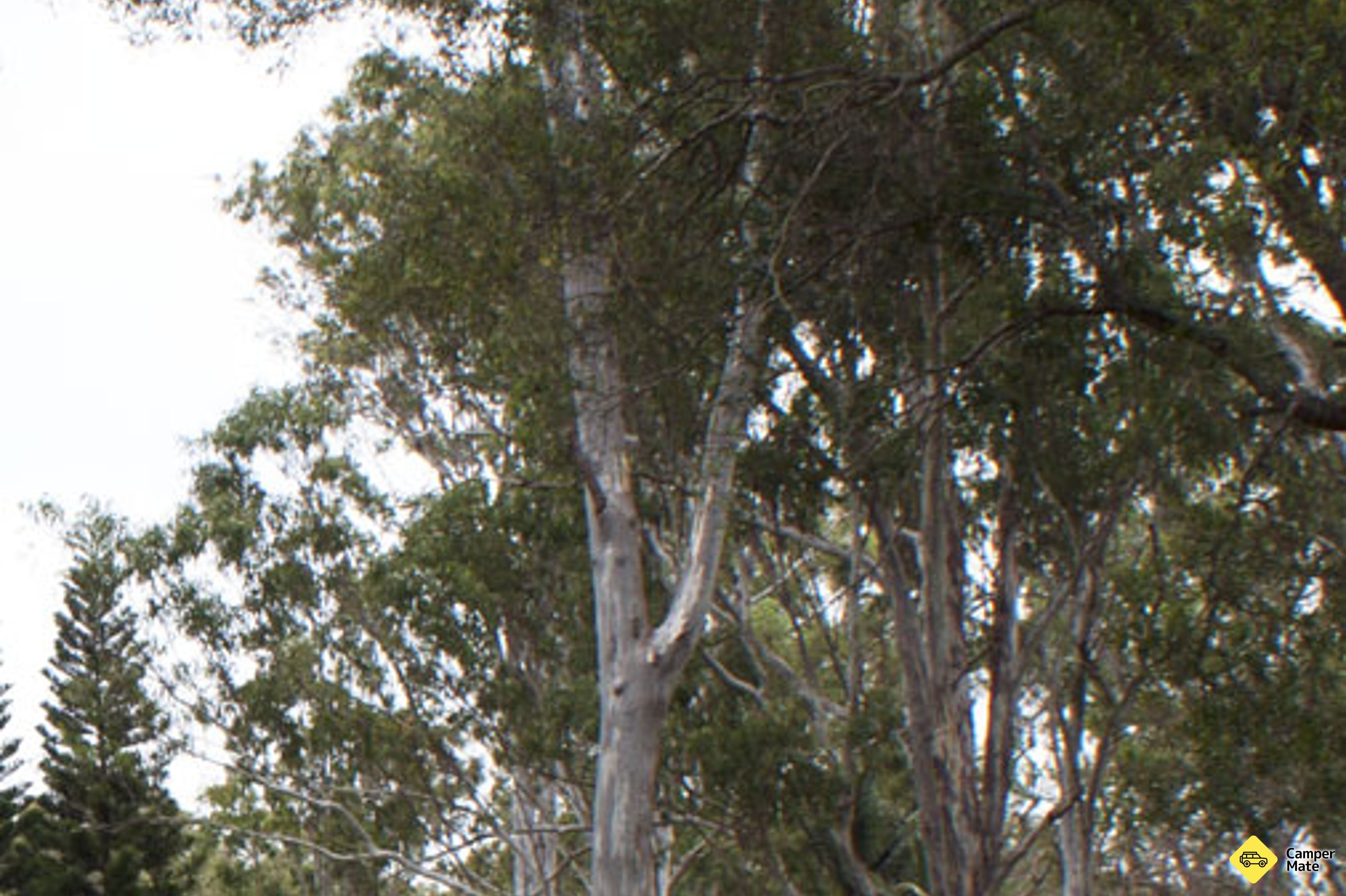 Tall Timbers Roadhouse
