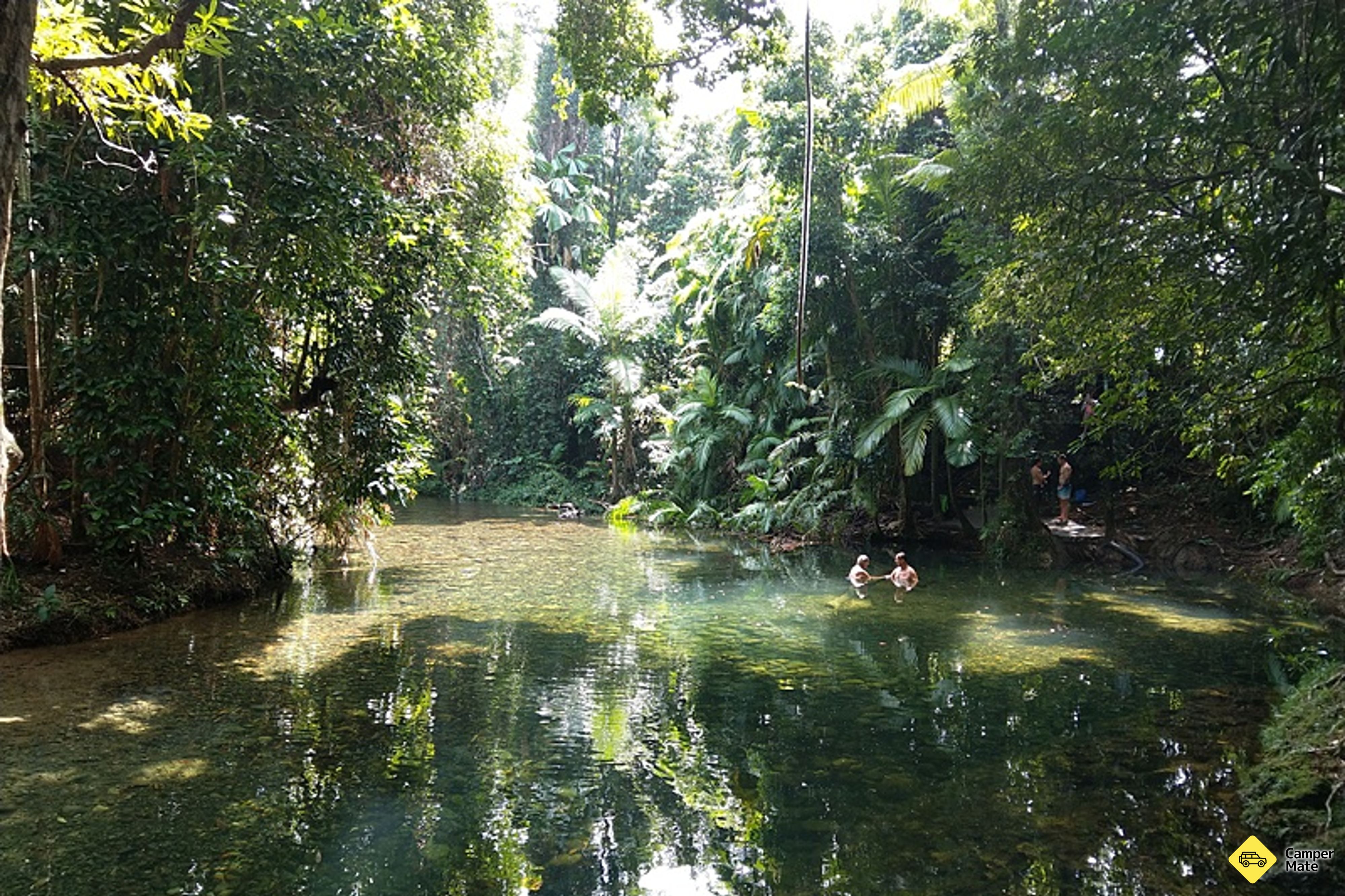 Lỗ bơi của Mason