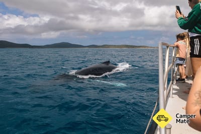 Keppel Island Whale Watching Cruise yakınındaki oteller
