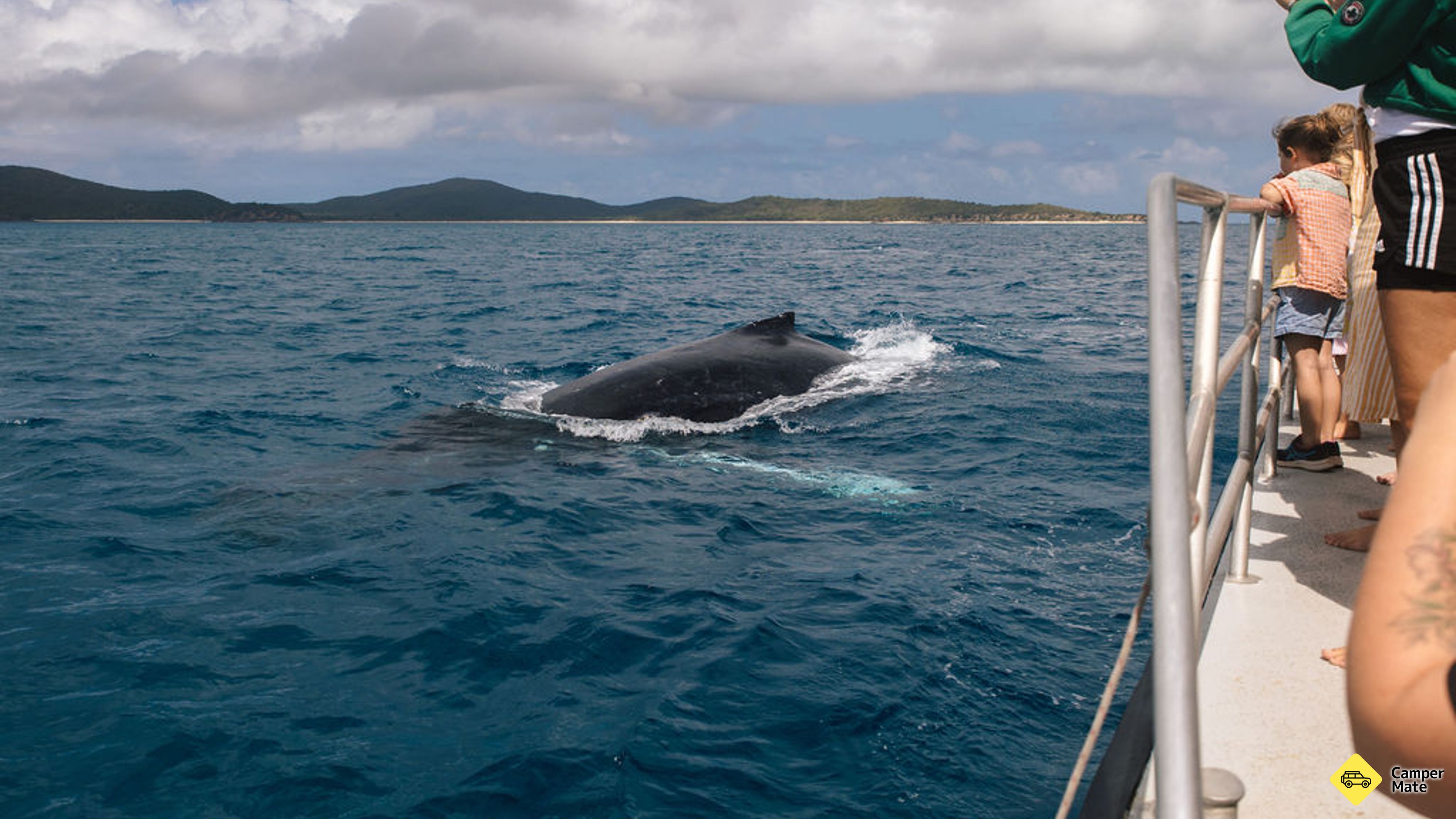Keppel Island Whale Watching Cruise yakınındaki oteller