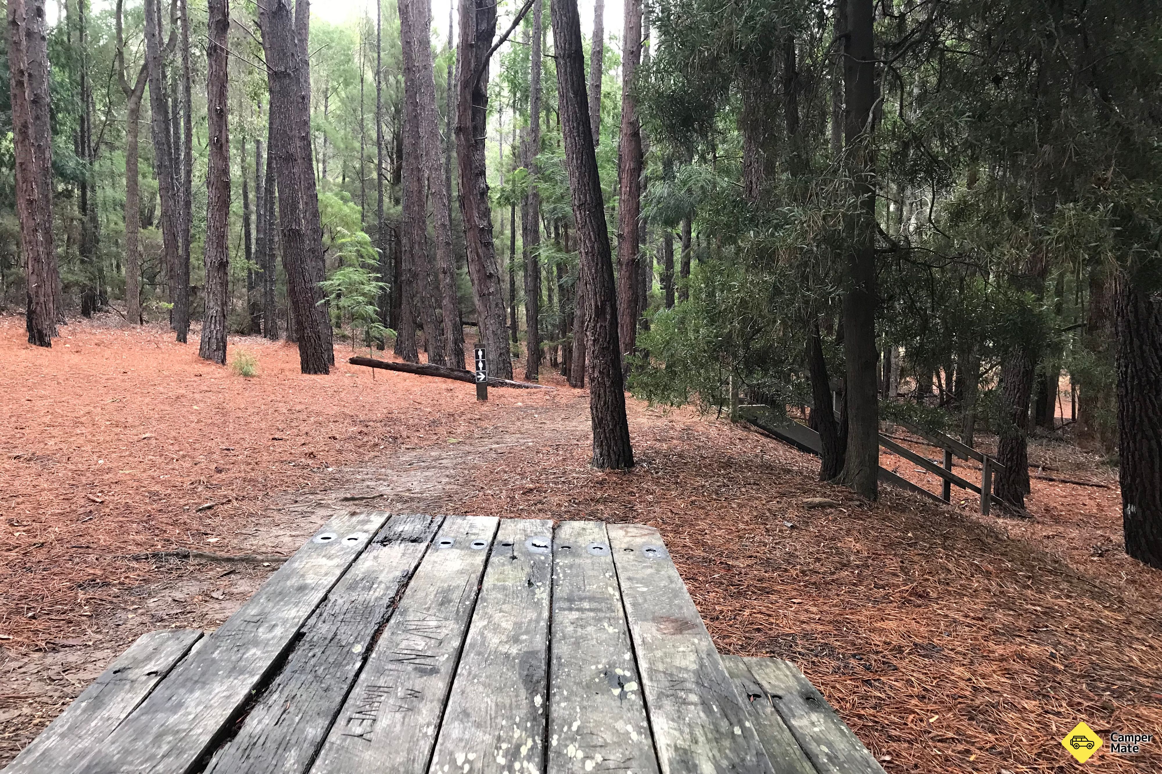 Shannon Campground - Image 3