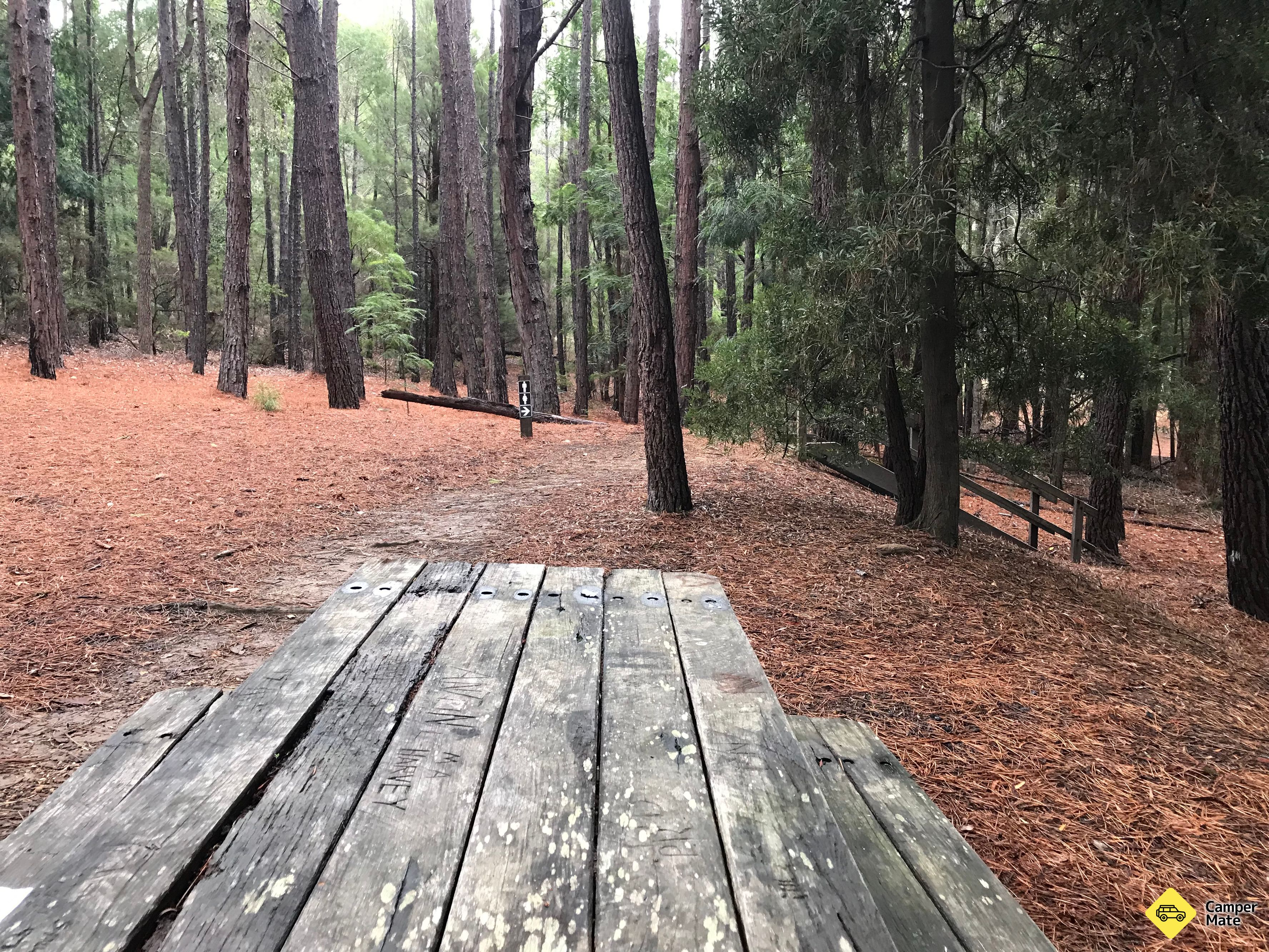 Shannon Campground - Image 3