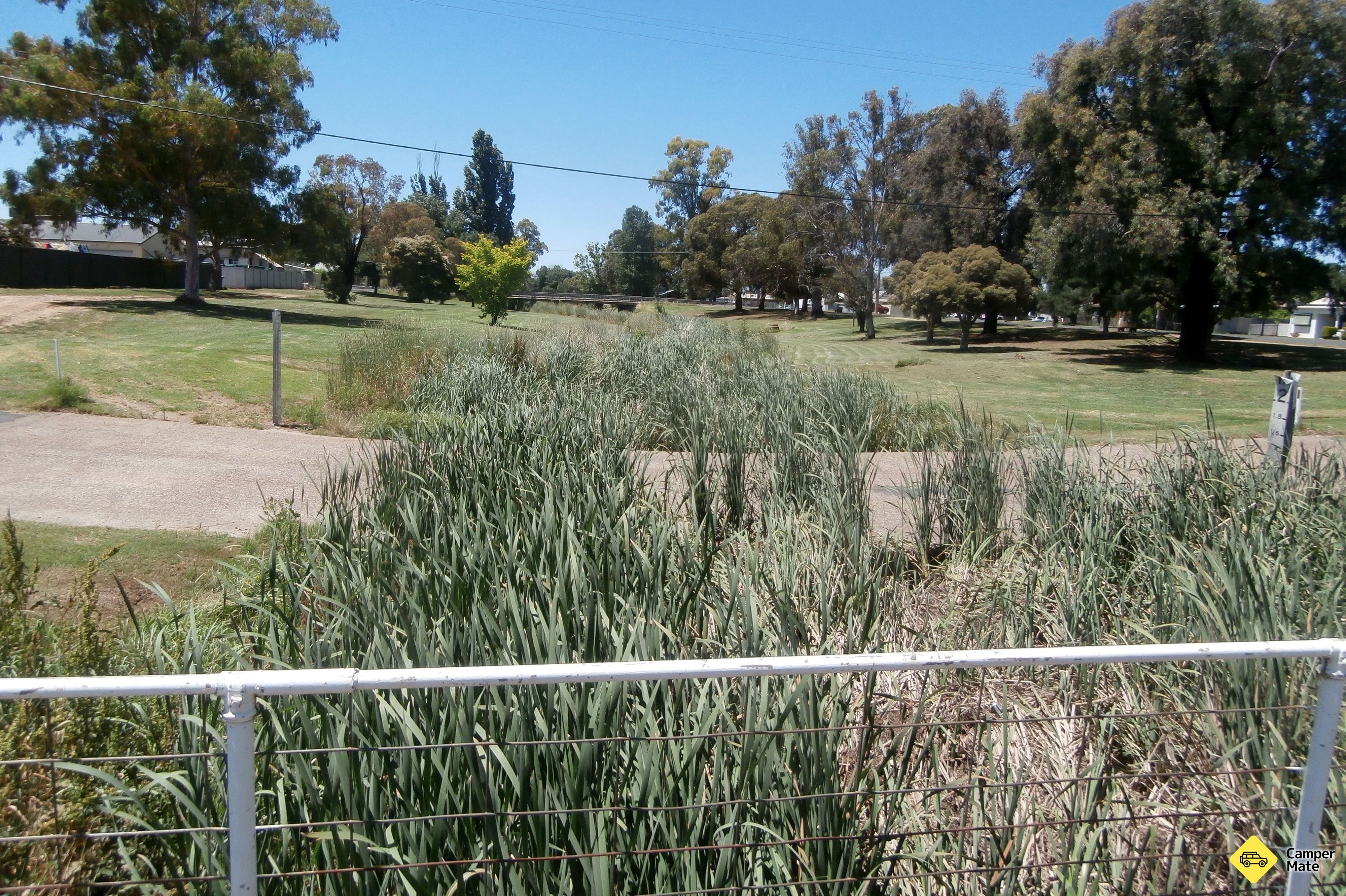 Cootamundra Vogelspaziergang - Image 2